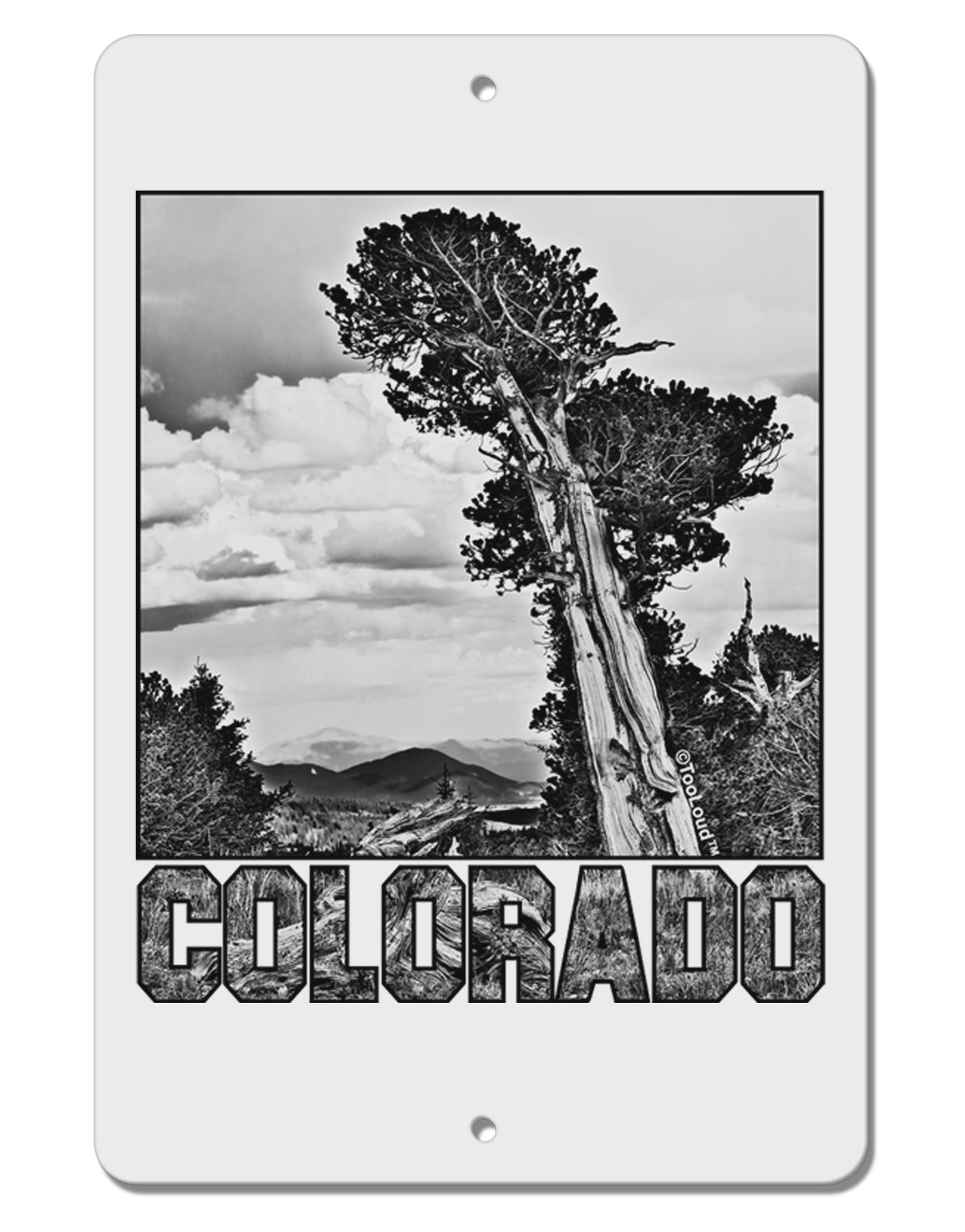 Colorado Landscape Text BW Aluminum 8 x 12" Sign-TooLoud-White-Davson Sales
