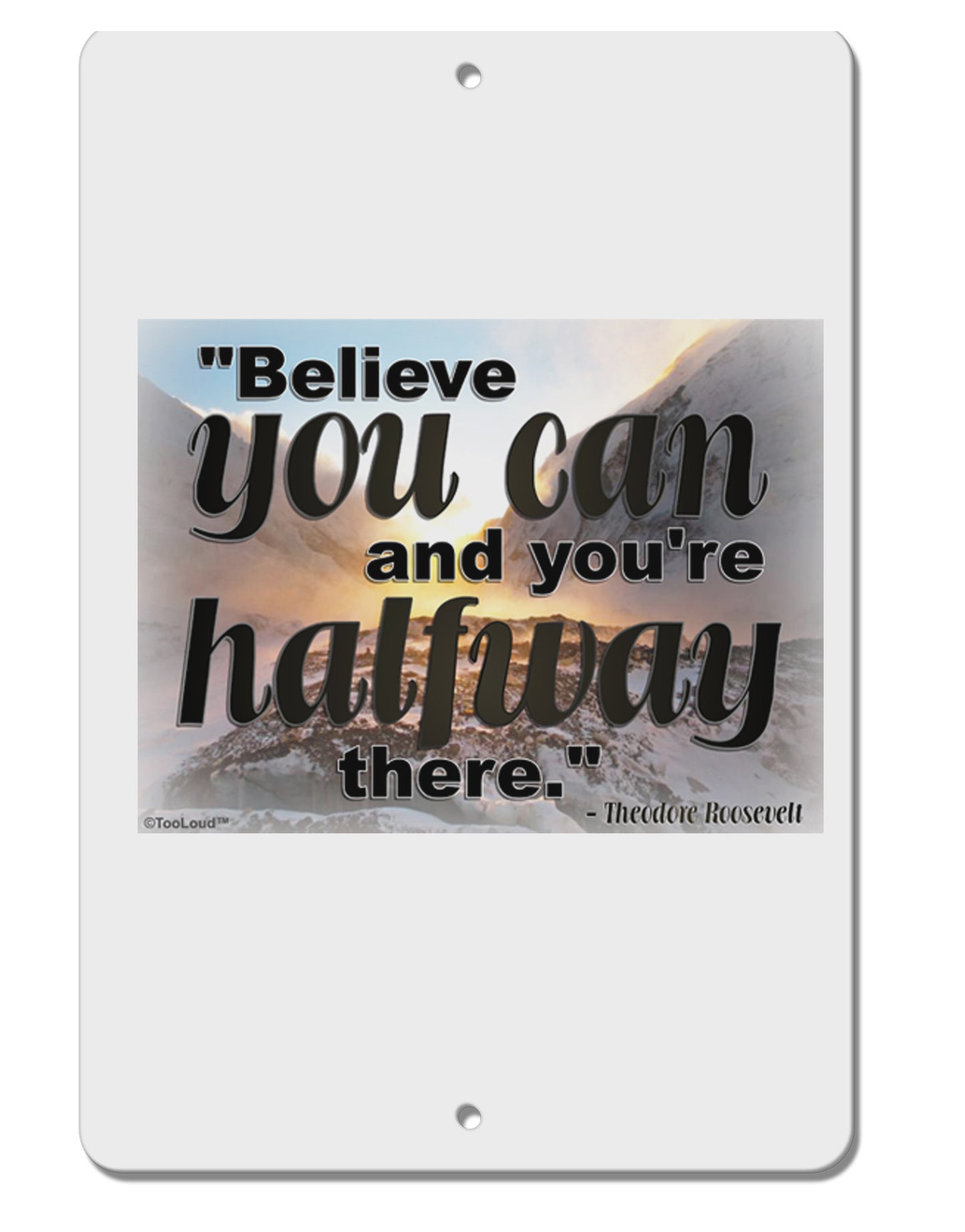 Believe You Can T Roosevelt Aluminum 8 x 12" Sign by TooLoud-TooLoud-White-Davson Sales