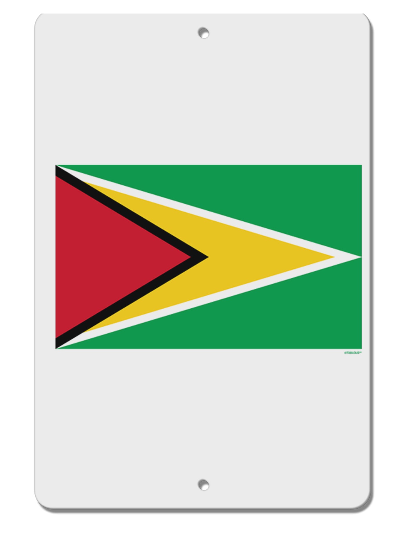 TooLoud Guyana Flag Aluminum 8 x 12 Inch Sign-Aluminum Sign-TooLoud-Davson Sales