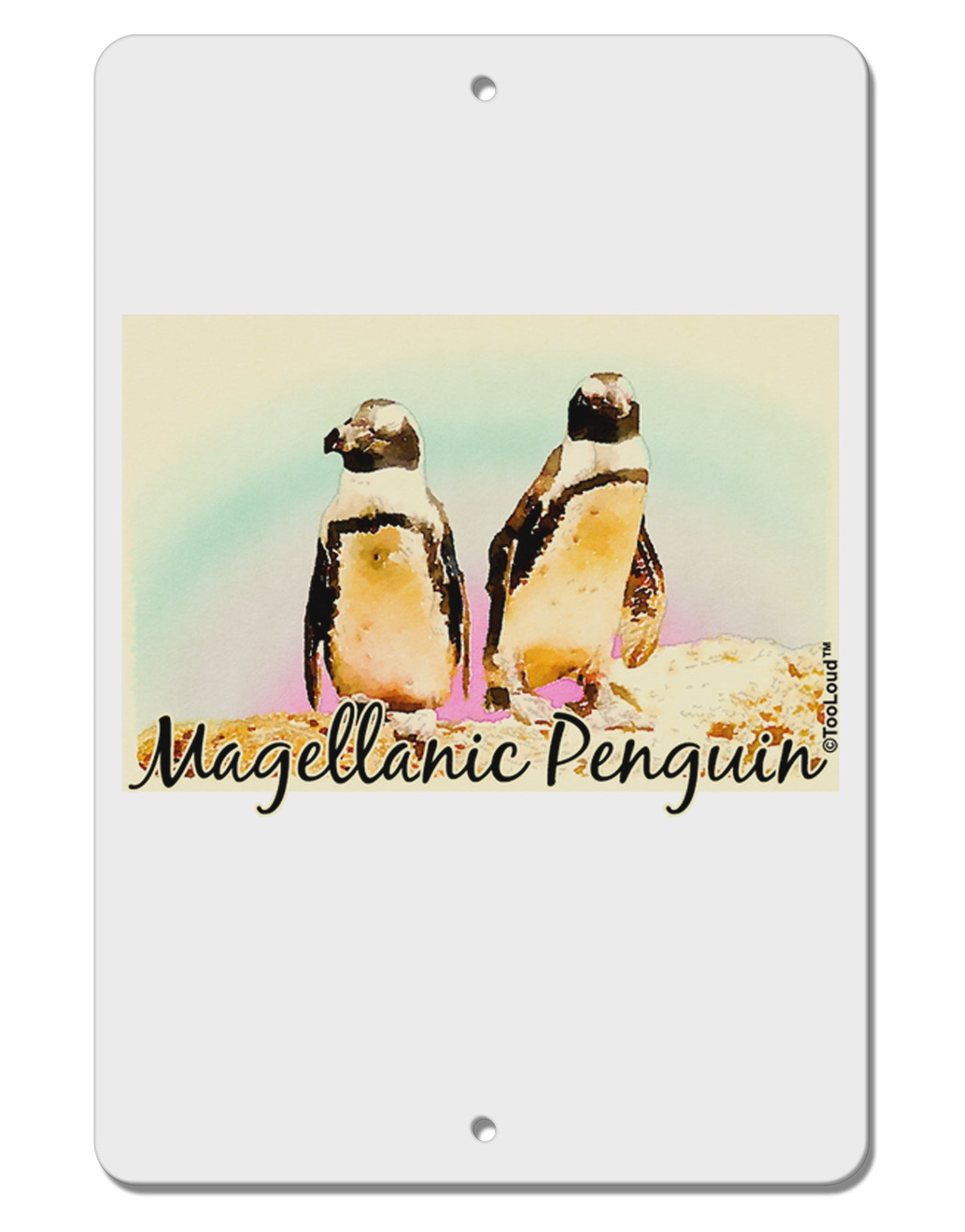 Magellanic Penguin Text Aluminum 8 x 12" Sign-TooLoud-White-Davson Sales