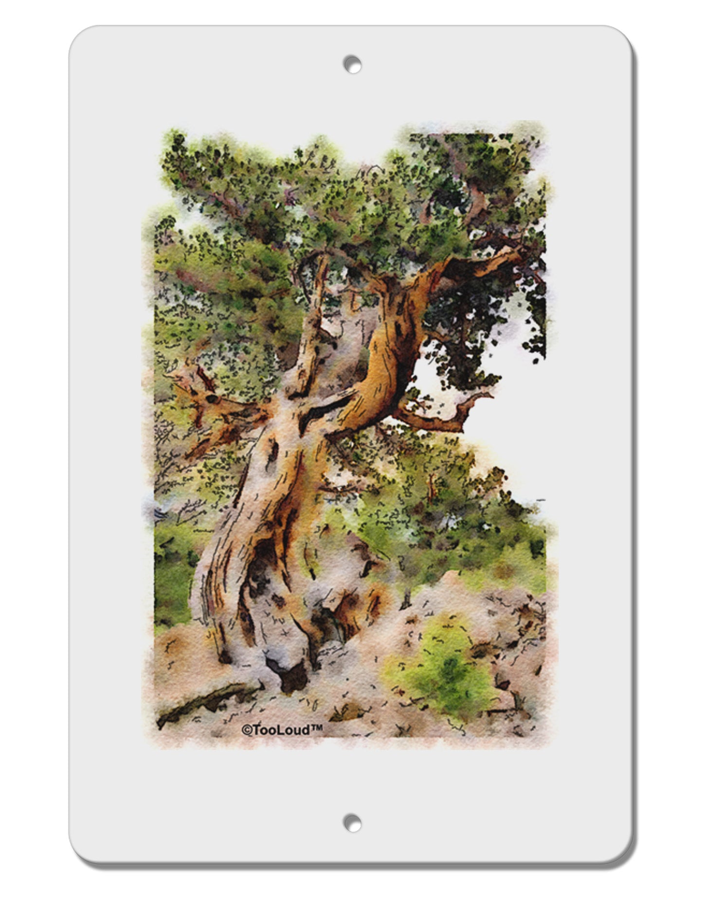 Bristlecone Pines Aluminum 8 x 12" Sign-TooLoud-White-Davson Sales