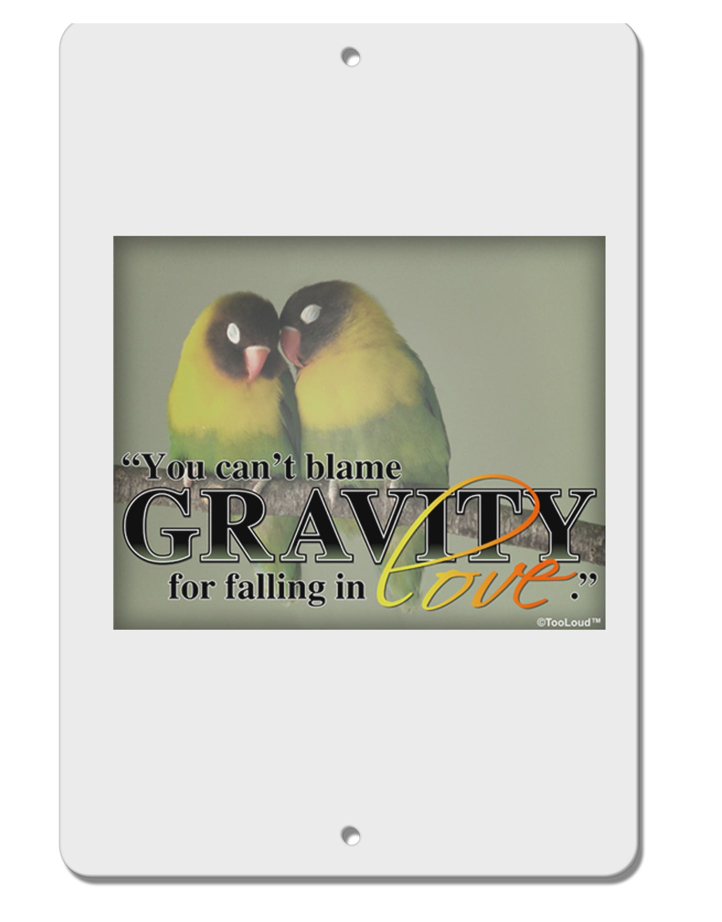 Can't Blame Gravity Aluminum 8 x 12" Sign-TooLoud-White-Davson Sales
