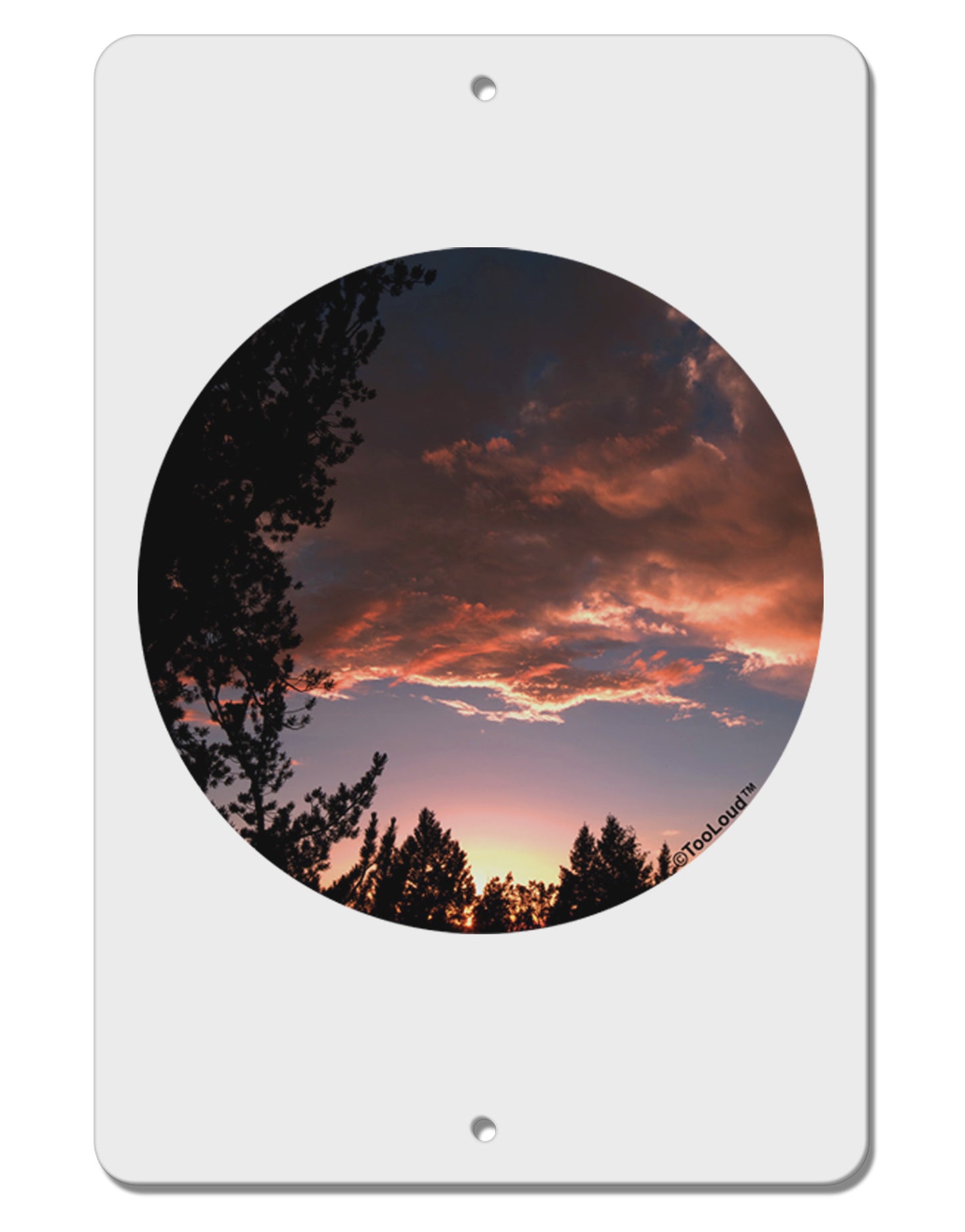 Forest Sunset Aluminum 8 x 12" Sign by TooLoud-TooLoud-White-Davson Sales