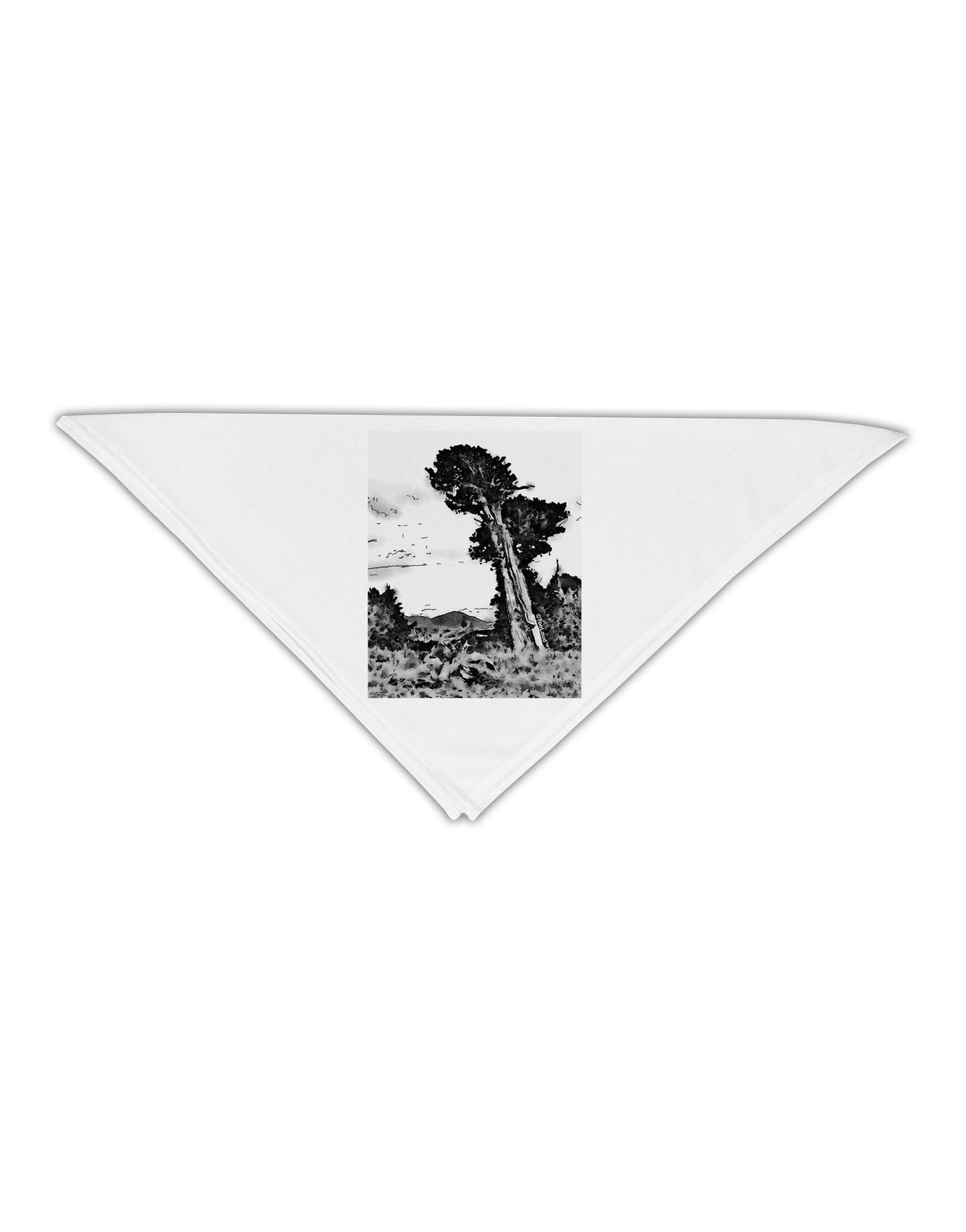 Colorado Landscape Watercolor BW Adult 19" Square Bandana-Square Bandanas-TooLoud-White-One-Size-Adult-Davson Sales