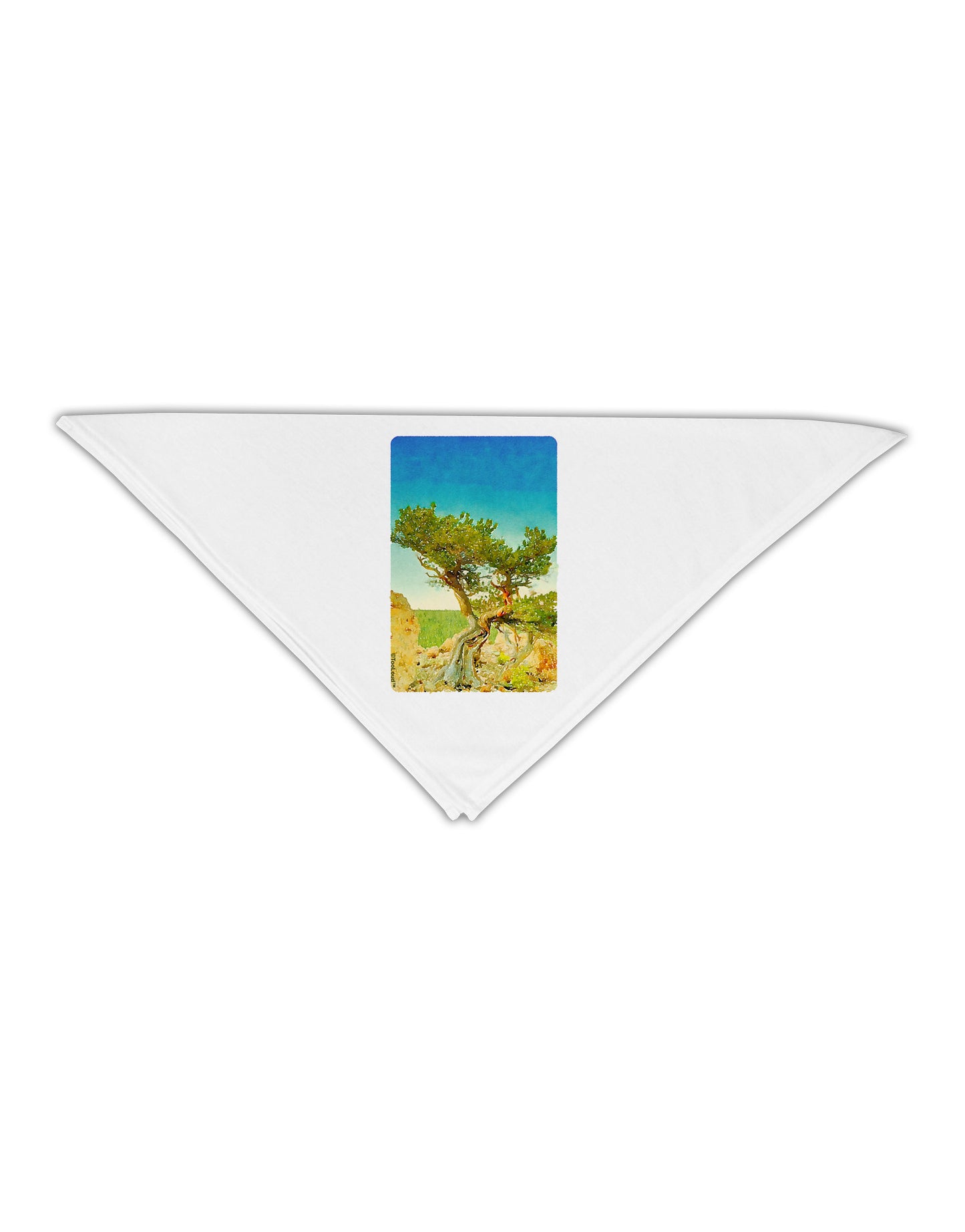 Colorado Tree Watercolor Adult 19" Square Bandana-Square Bandanas-TooLoud-White-One-Size-Adult-Davson Sales