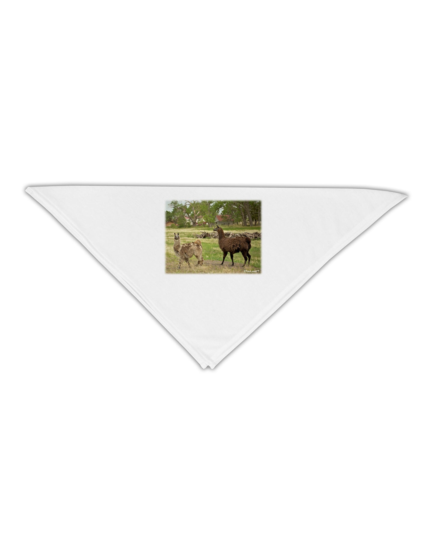 Standing Llamas Adult 19" Square Bandana by TooLoud-Square Bandanas-TooLoud-White-One-Size-Adult-Davson Sales