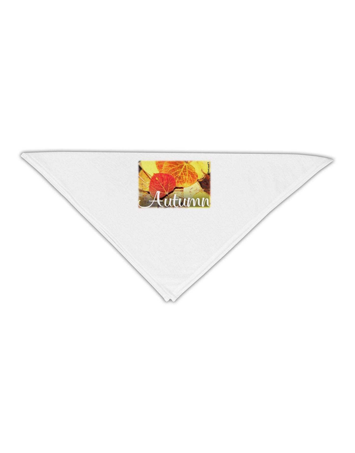 Colorado - Autumn Text Adult 19" Square Bandana-Square Bandanas-TooLoud-White-One-Size-Adult-Davson Sales