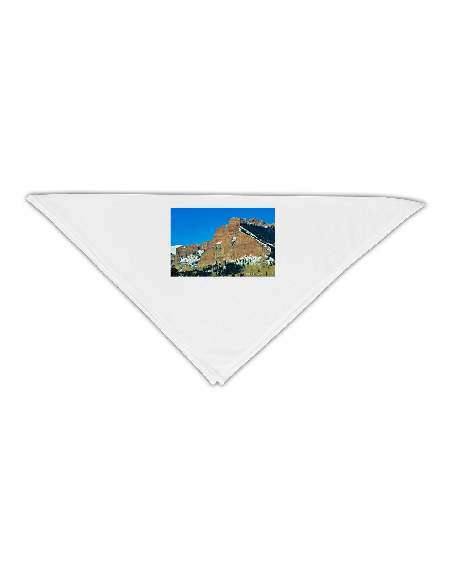 Colorado Snowy Mountains Adult 19" Square Bandana-Square Bandanas-TooLoud-White-One-Size-Adult-Davson Sales