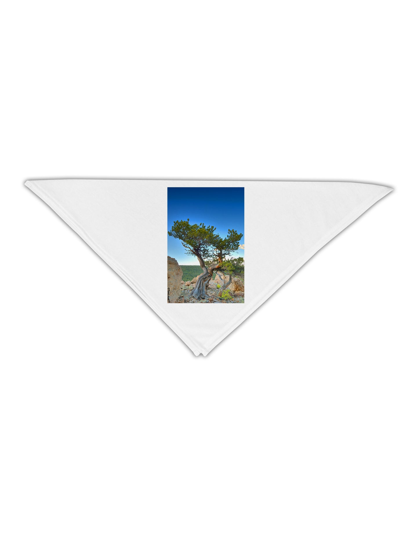 Colorado Landscape Tree Adult 19" Square Bandana-Square Bandanas-TooLoud-White-One-Size-Adult-Davson Sales