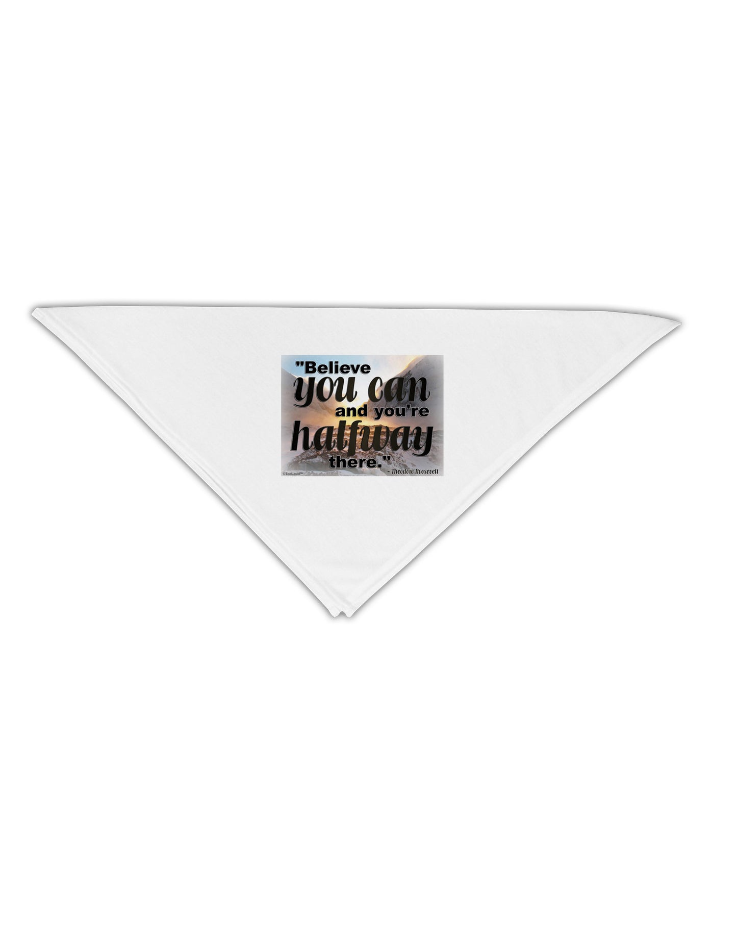 Believe You Can T Roosevelt Adult 19" Square Bandana by TooLoud-Square Bandanas-TooLoud-White-One-Size-Adult-Davson Sales