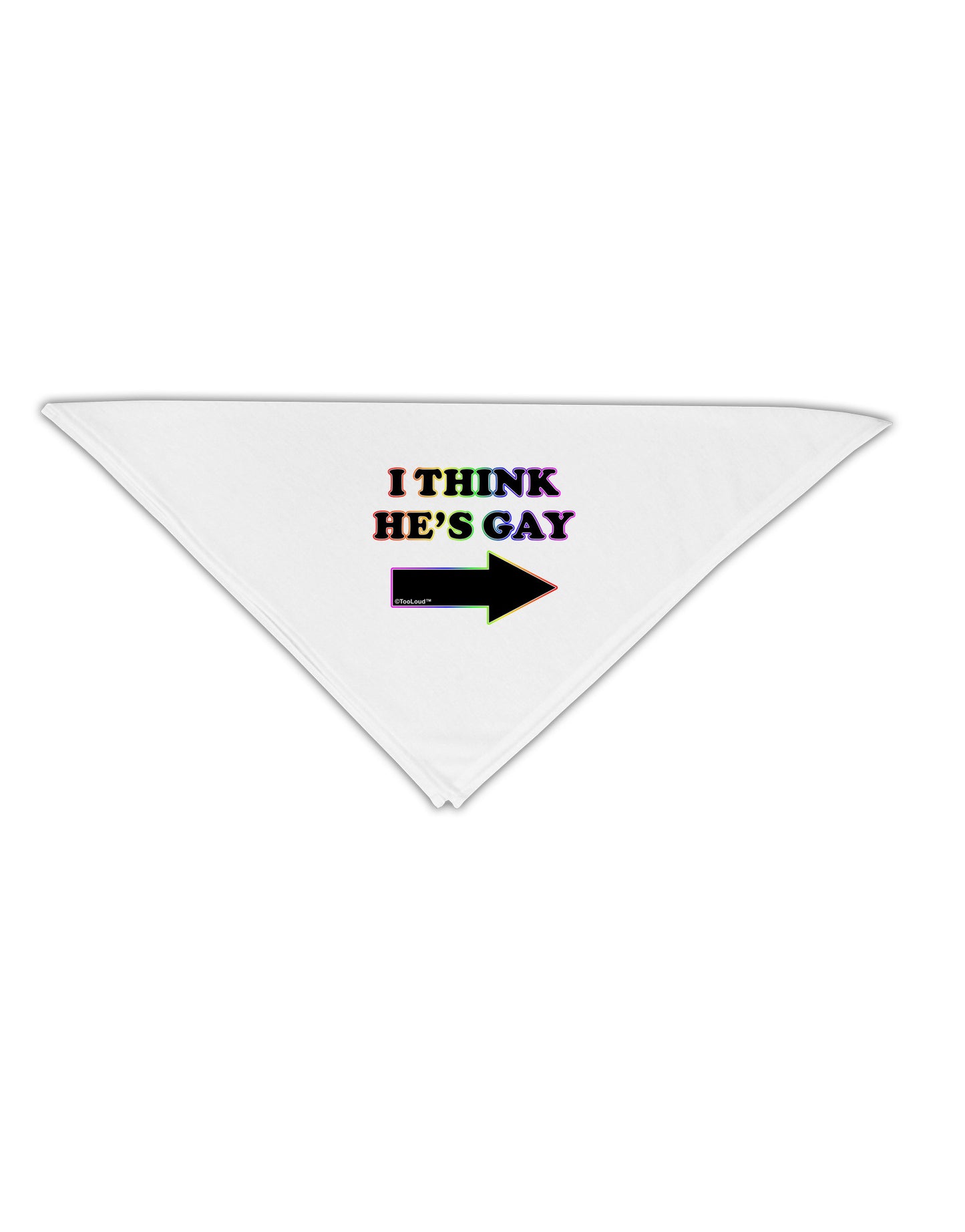 I Think He's Gay Right Adult 19" Square Bandana by TooLoud-Square Bandanas-TooLoud-White-One-Size-Adult-Davson Sales