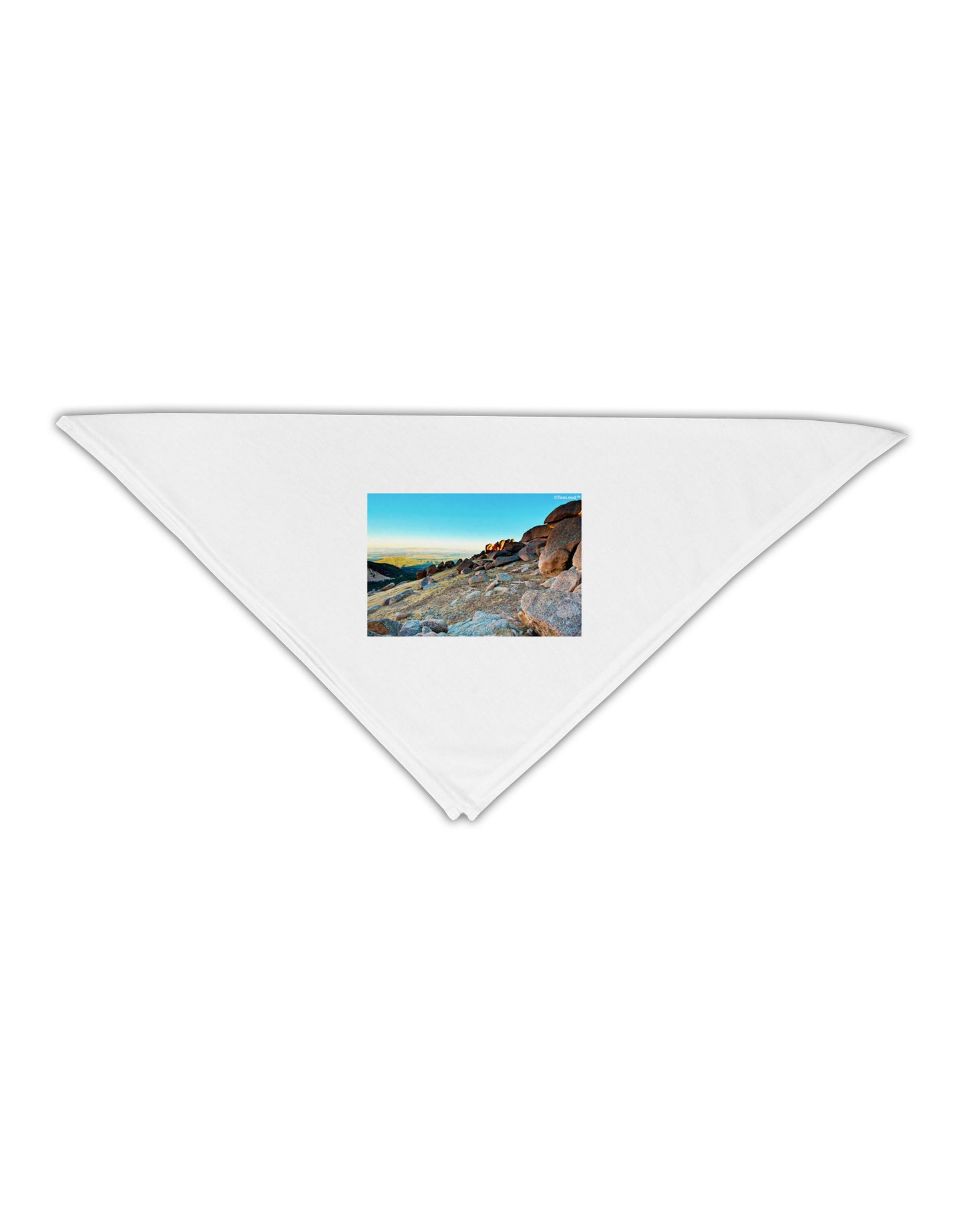 CO Rockies View Adult 19" Square Bandana-Square Bandanas-TooLoud-White-One-Size-Adult-Davson Sales