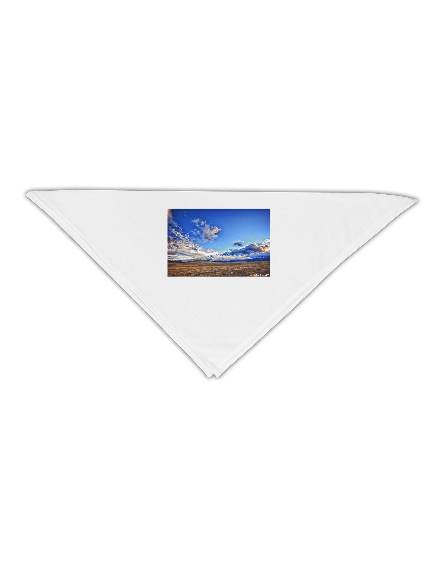 Garden of the Gods Colorado Adult 19" Square Bandana-Square Bandanas-TooLoud-White-One-Size-Adult-Davson Sales
