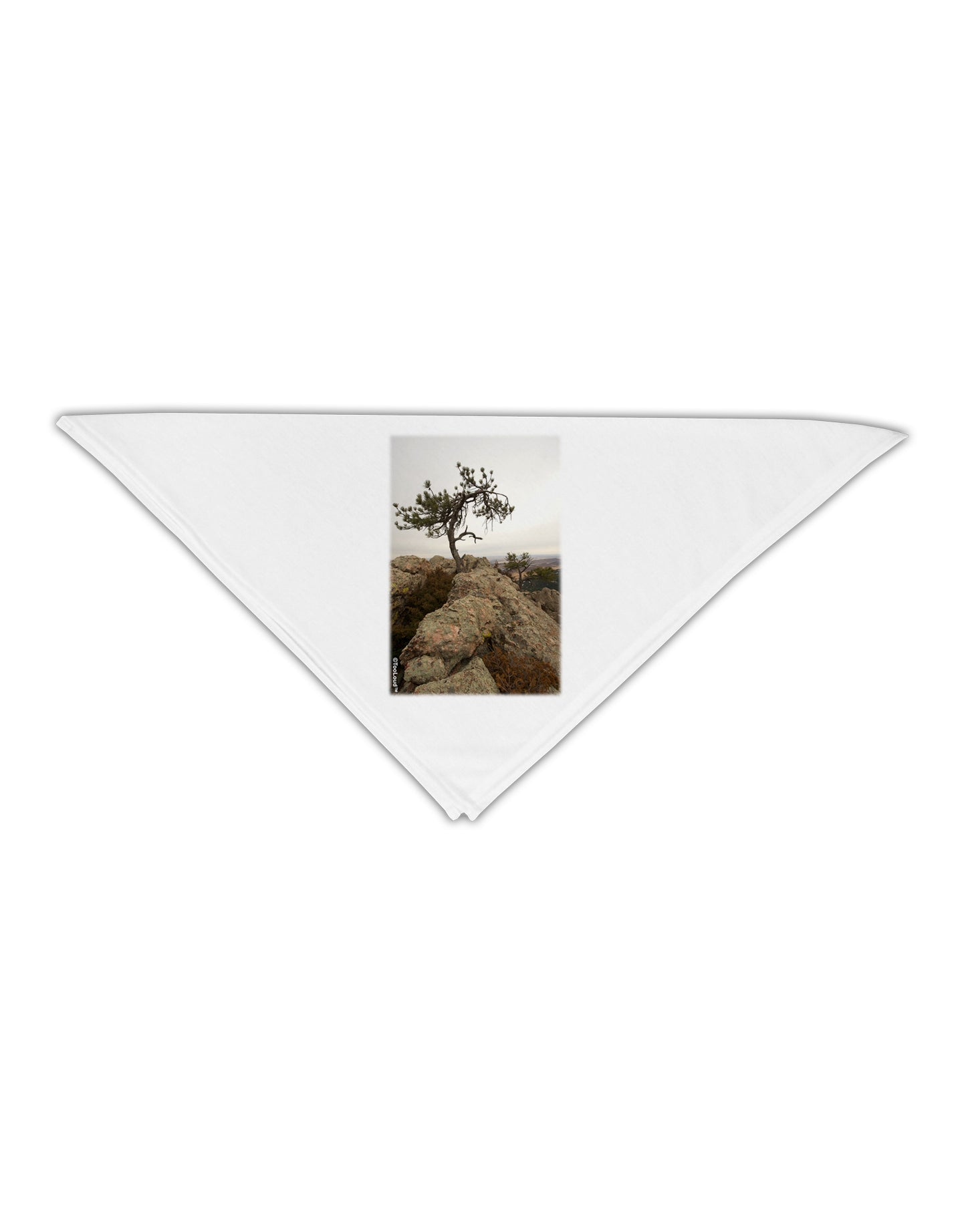 Stone Tree Colorado Adult 19" Square Bandana by TooLoud-Square Bandanas-TooLoud-White-One-Size-Adult-Davson Sales