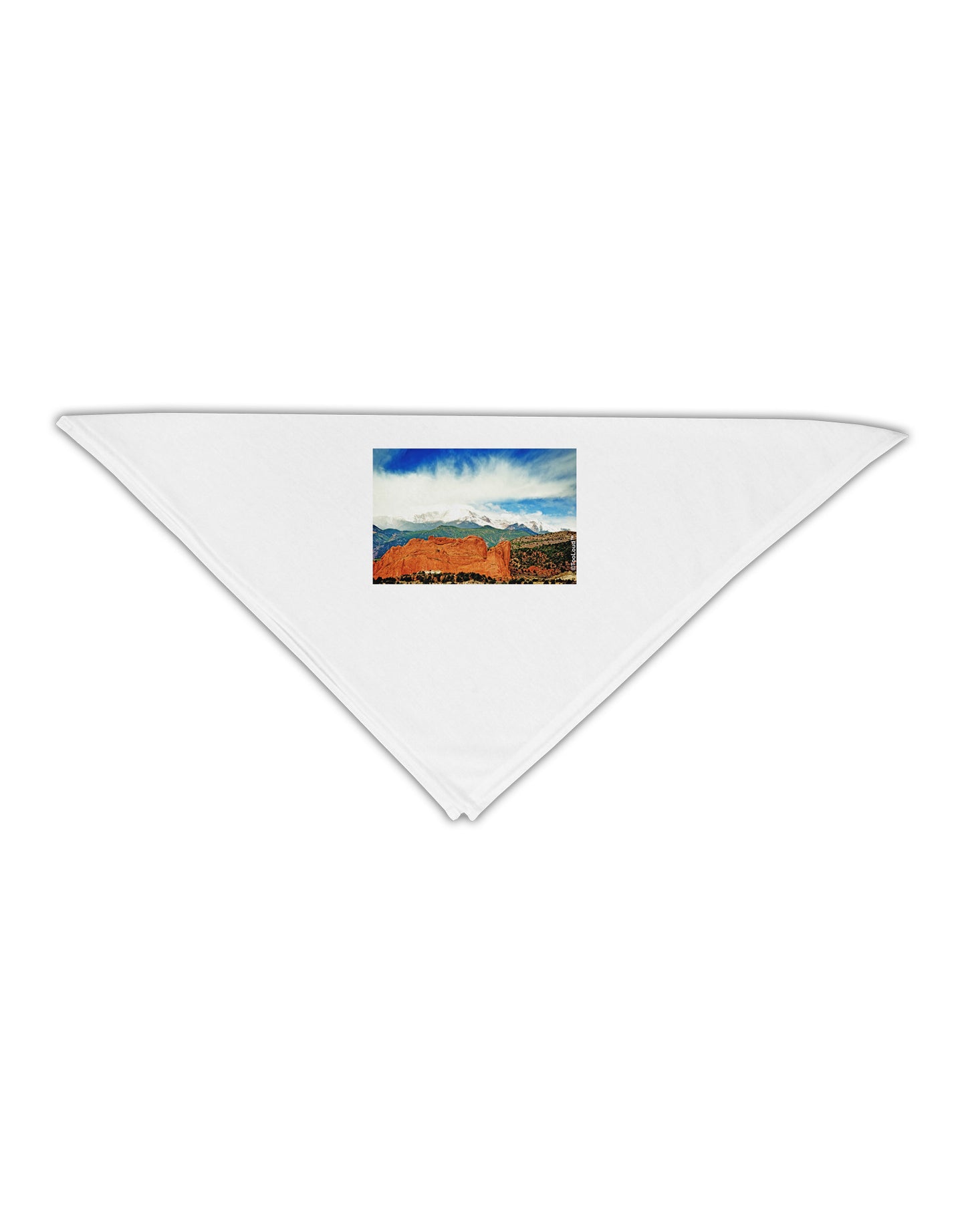 CO Beautiful View Adult 19" Square Bandana-Square Bandanas-TooLoud-White-One-Size-Adult-Davson Sales