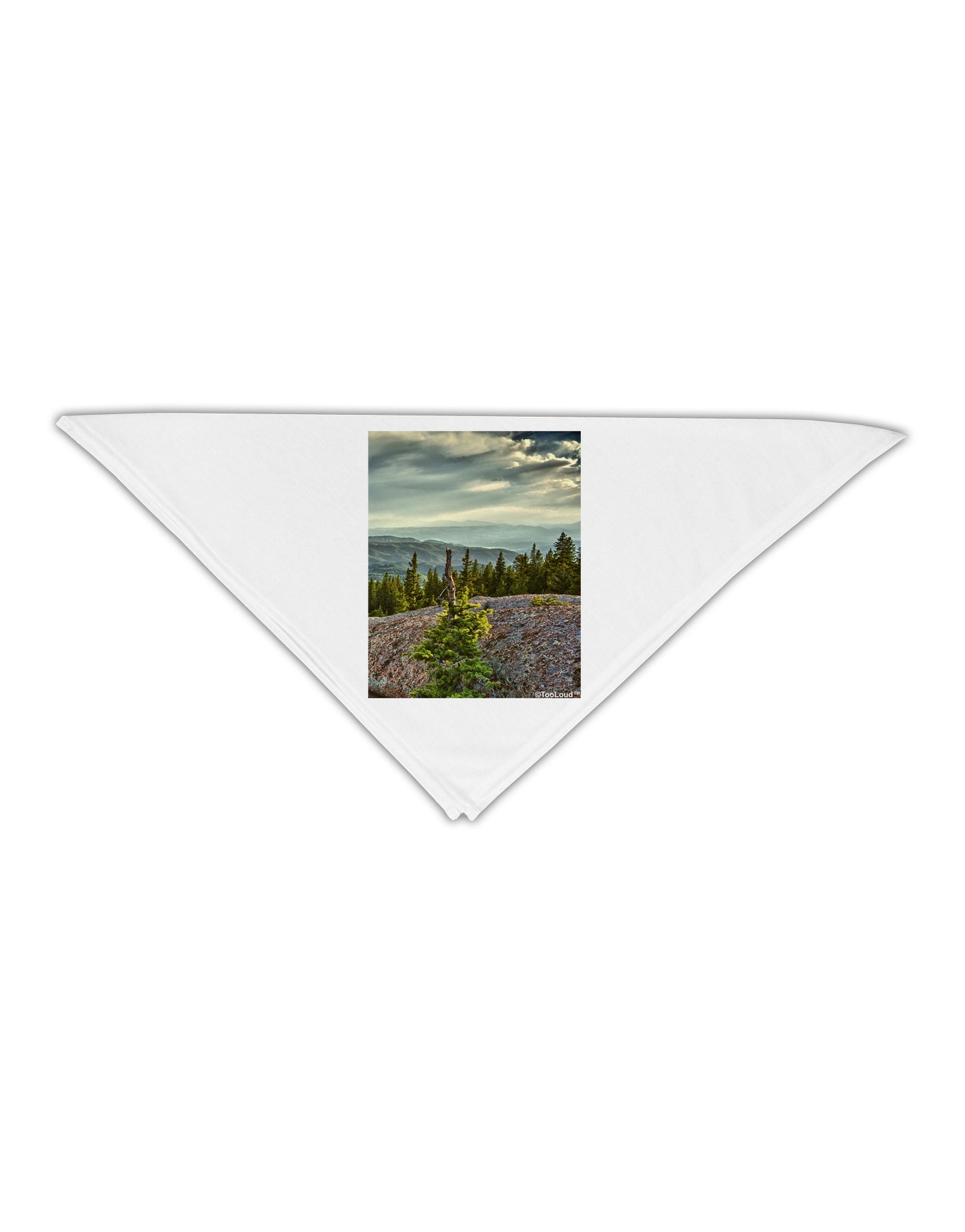 Nature Photography - Pine Kingdom Adult 19" Square Bandana by-Square Bandanas-TooLoud-White-One-Size-Adult-Davson Sales