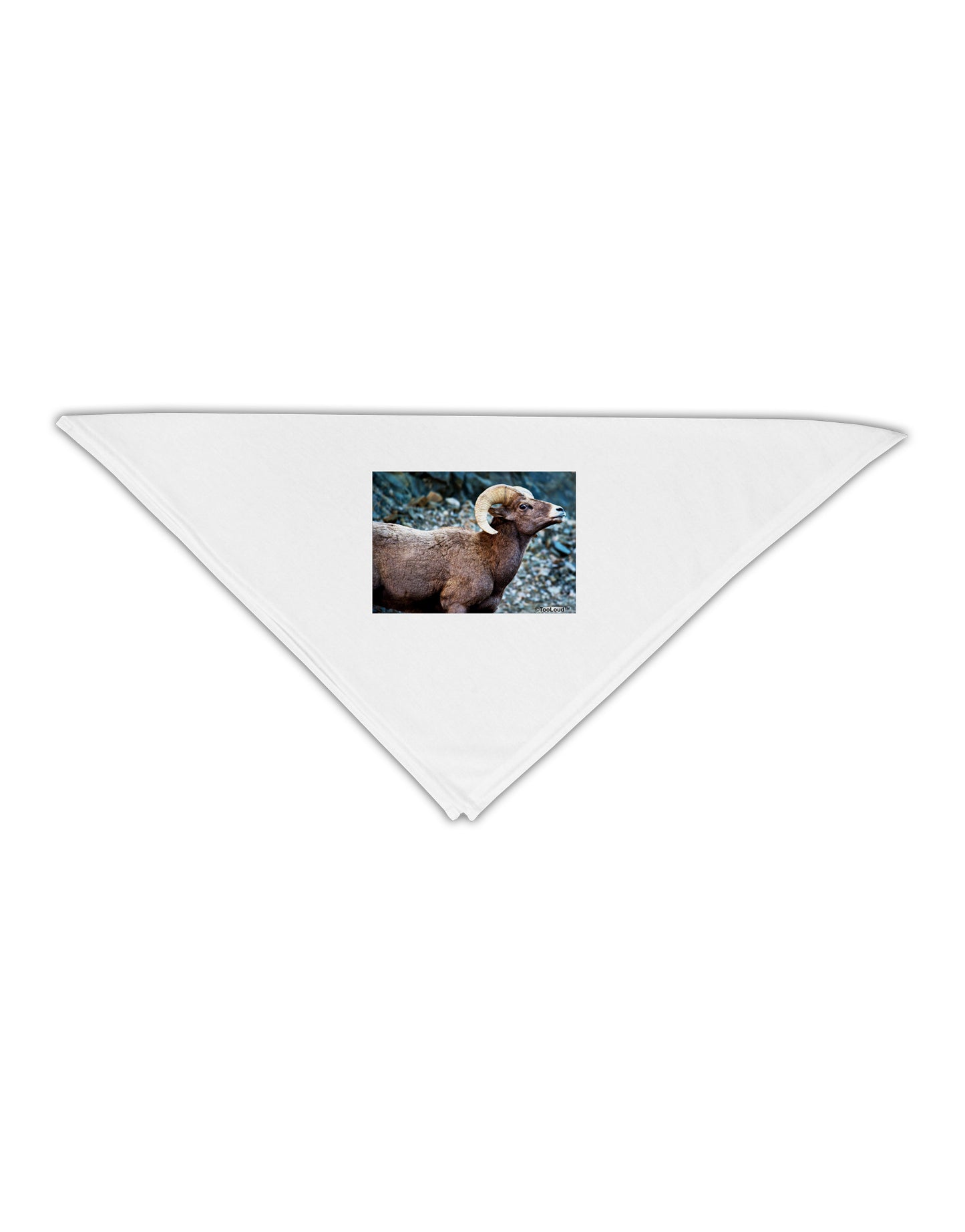 TooLoud Wide Eyed Big Horn Adult 19" Square Bandana-Square Bandanas-TooLoud-White-One-Size-Adult-Davson Sales