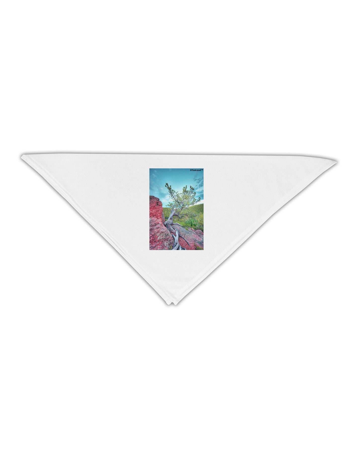 CO Cliffside Tree Adult 19" Square Bandana-Square Bandanas-TooLoud-White-One-Size-Adult-Davson Sales