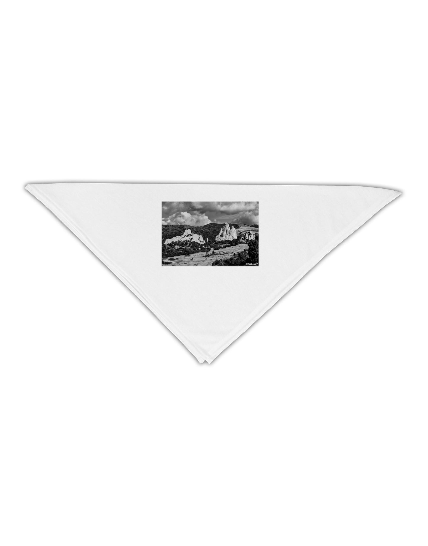 CO Mountain Forest Scene Adult 19" Square Bandana-Square Bandanas-TooLoud-White-One-Size-Adult-Davson Sales