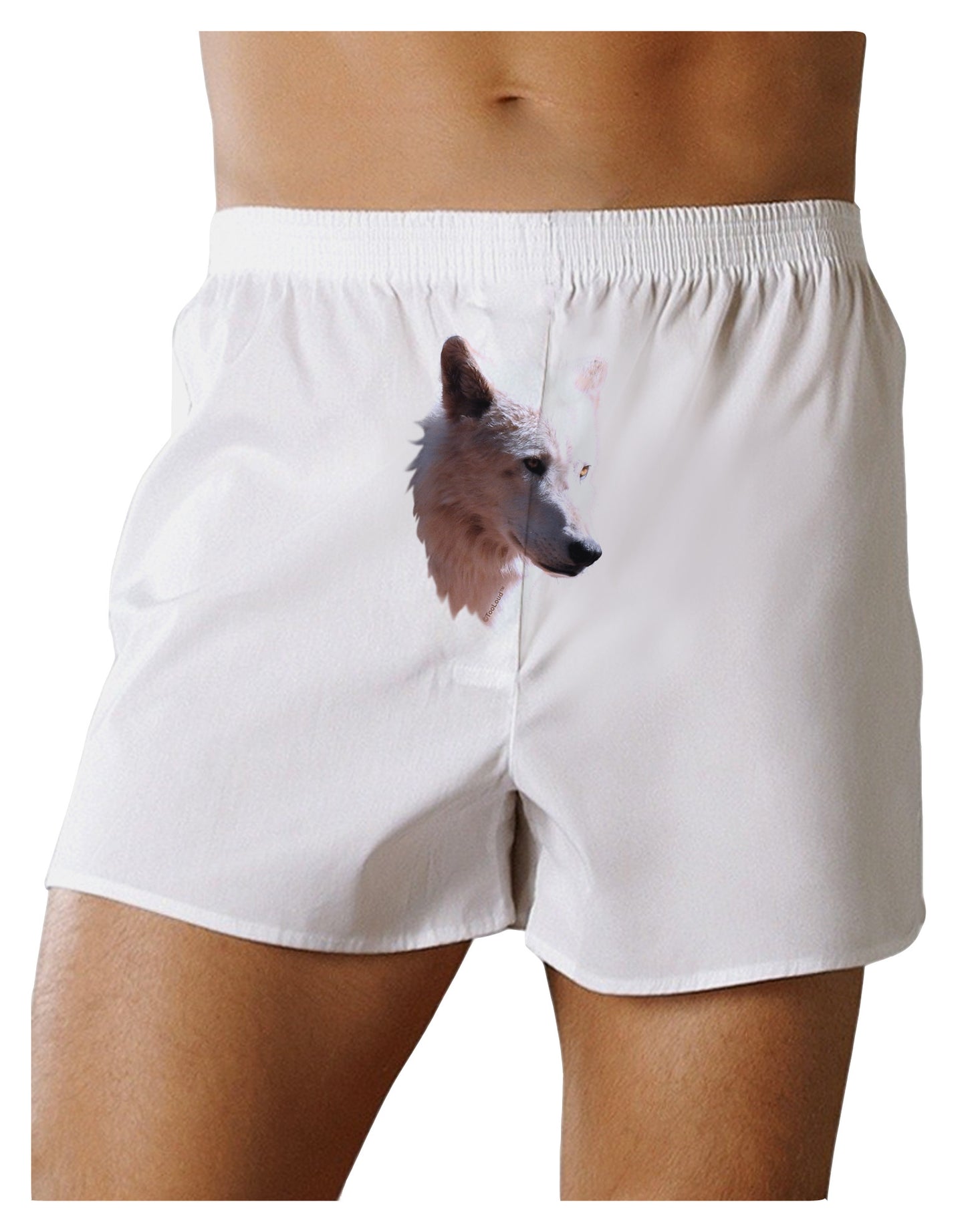 Magnificent White Wolf Head Front Print Boxer Shorts-Boxer Shorts-TooLoud-White-Small-Davson Sales