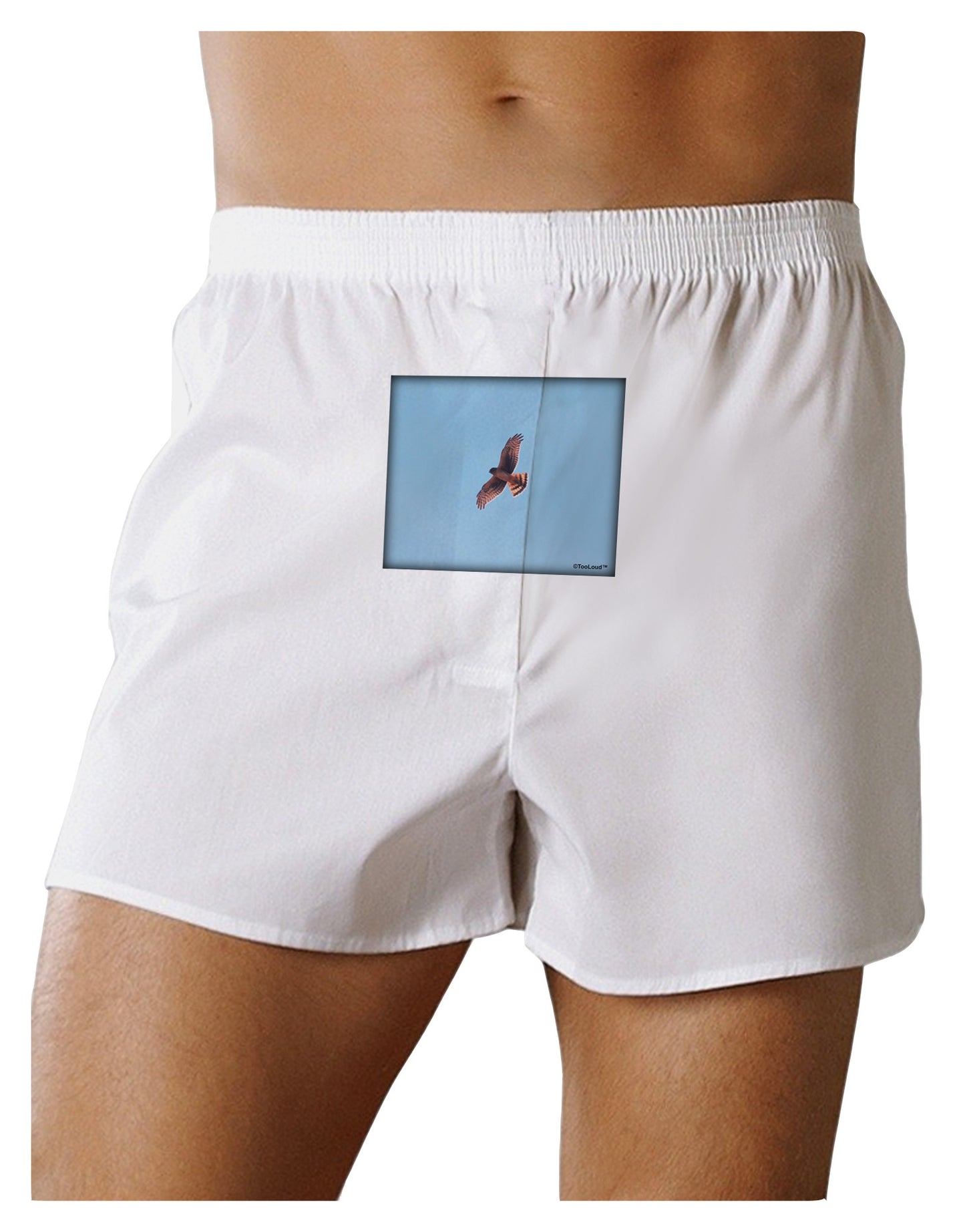 Soaring Peregrine Front Print Boxer Shorts-Boxer Shorts-TooLoud-White-Small-Davson Sales