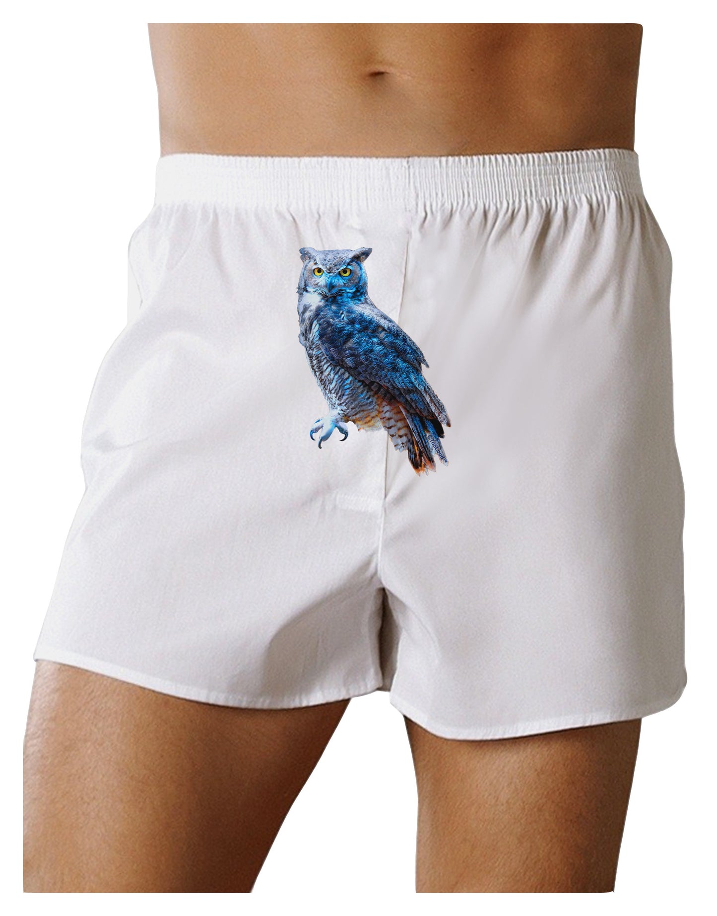 Colorful Great Horned Owl Front Print Boxer Shorts-Boxer Shorts-TooLoud-White-Small-Davson Sales