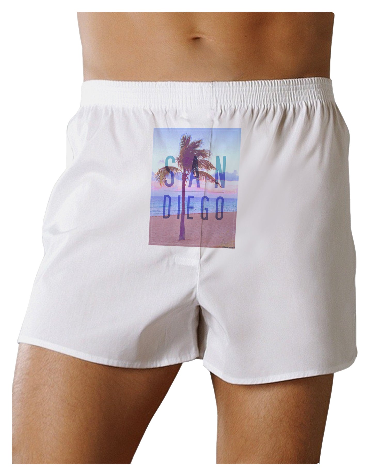 San Diego Beach Filter Front Print Boxer Shorts-Boxer Shorts-TooLoud-White-Small-Davson Sales