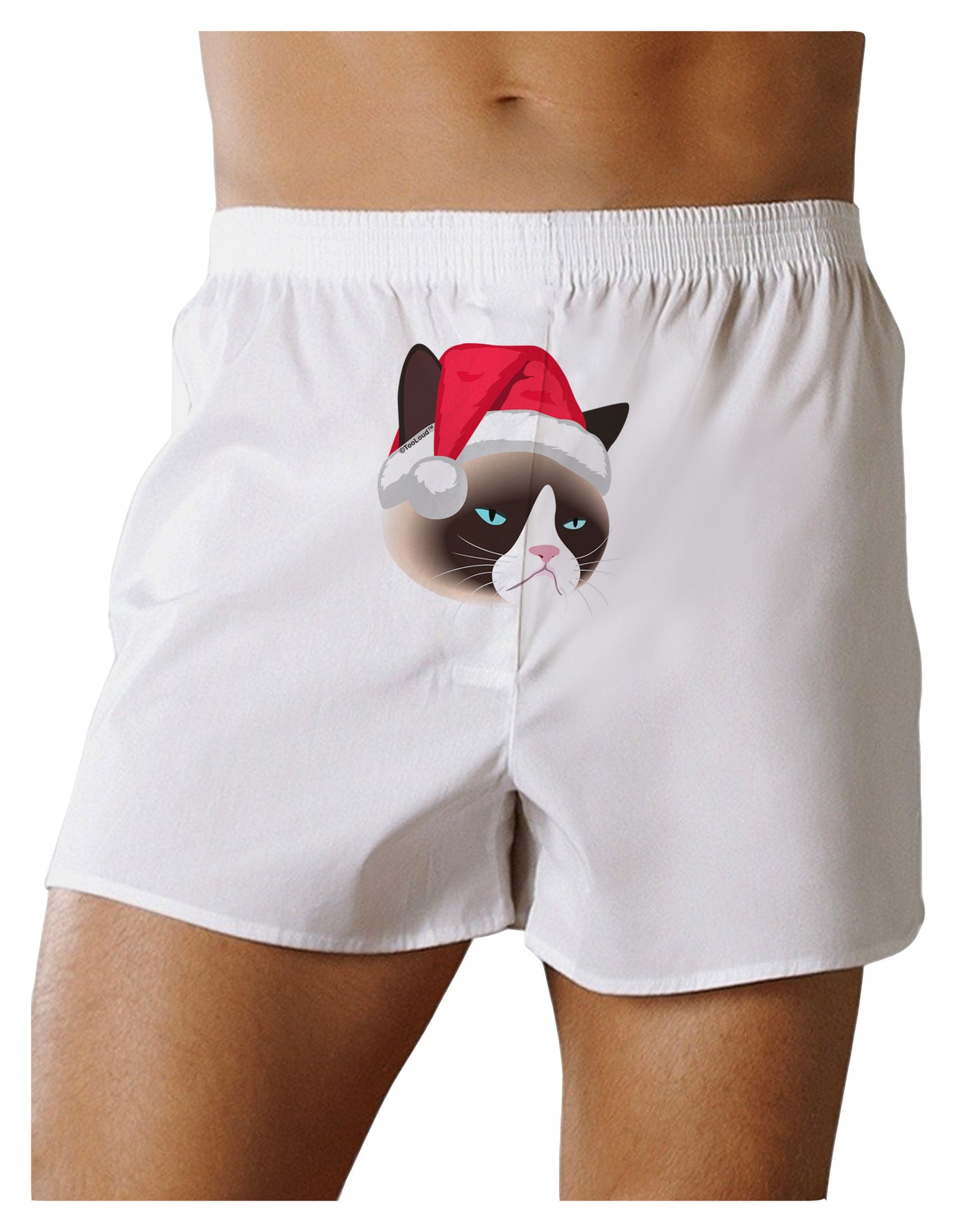 Santa Hat Disgruntled Siamese Cat Front Print Boxer Shorts by-Boxer Shorts-TooLoud-White-Small-Davson Sales