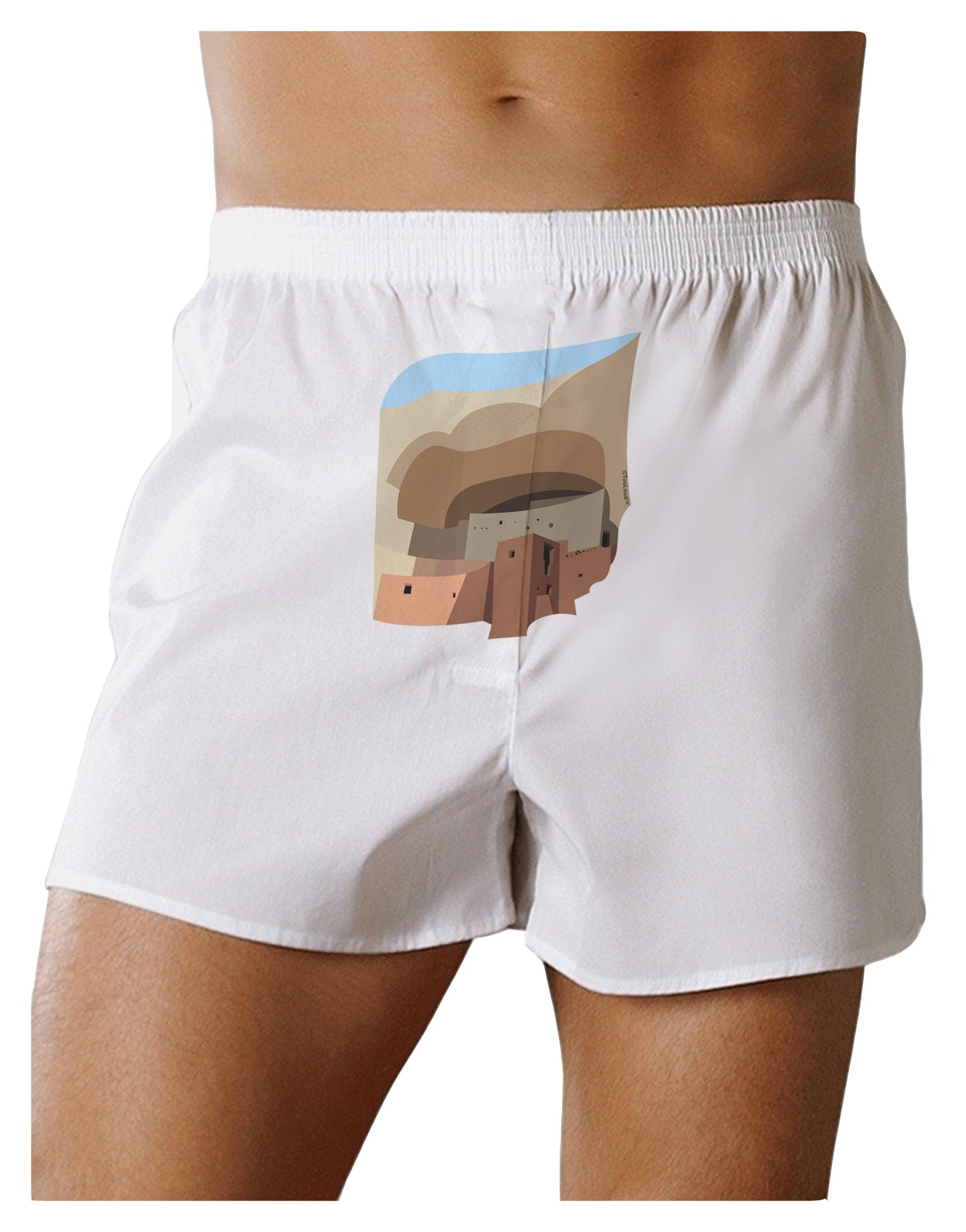 Montezuma Castle Artwork Front Print Boxer Shorts-Boxer Shorts-TooLoud-White-Small-Davson Sales