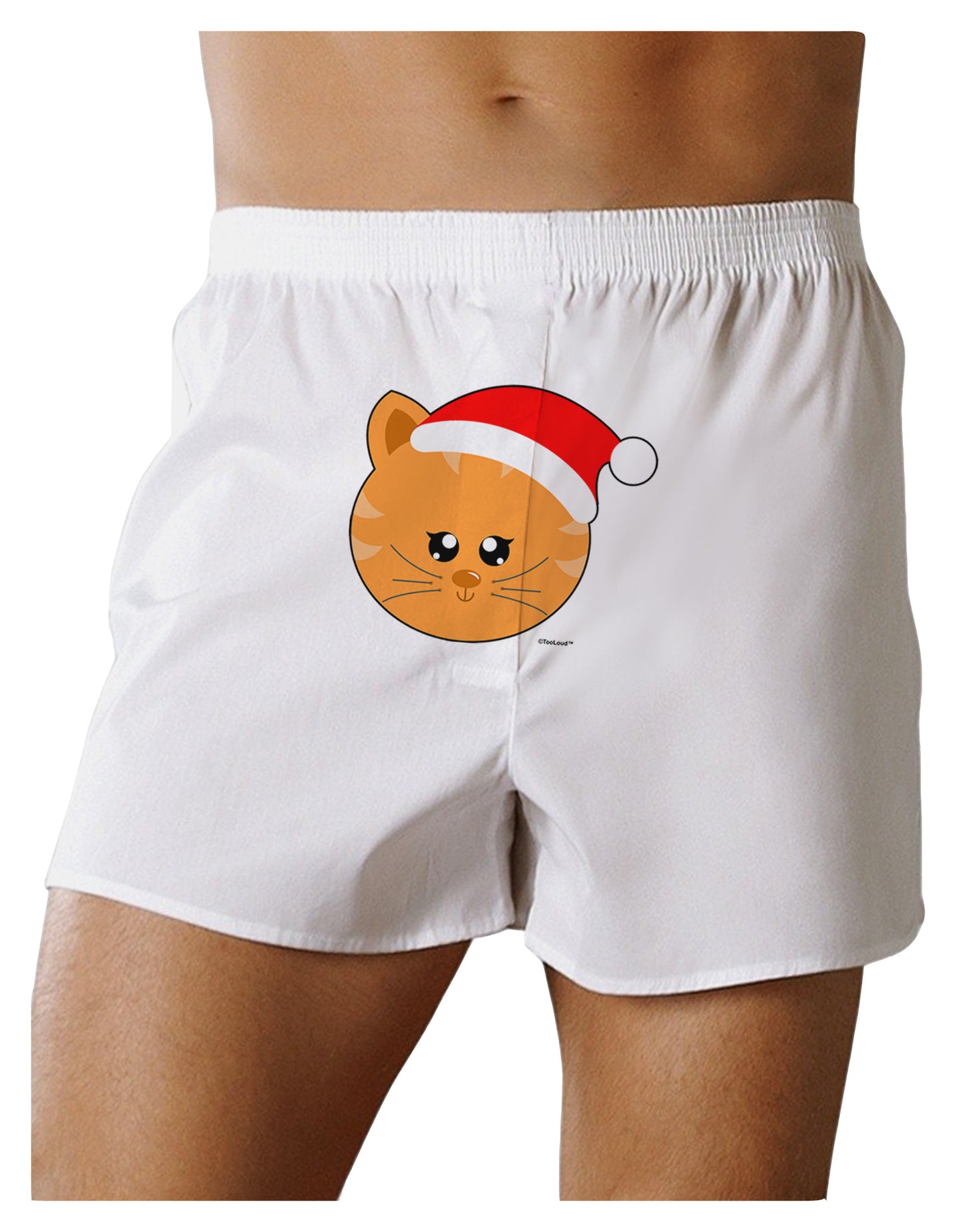 Cute Christmas Cat Santa Hat Front Print Boxer Shorts-Boxer Shorts-TooLoud-White-Small-Davson Sales