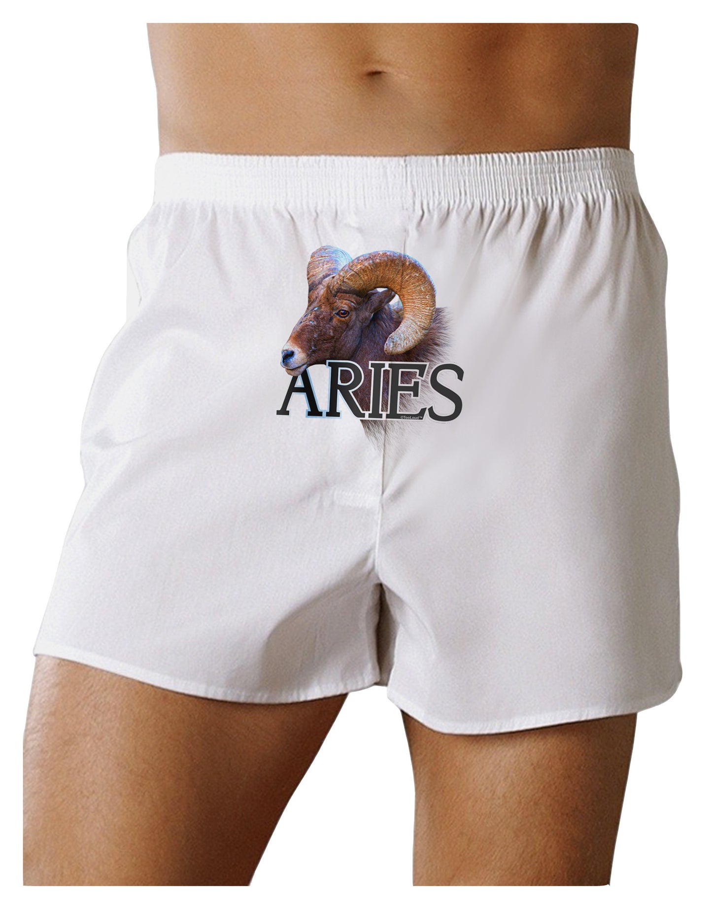 Majestic Aries Picture Front Print Boxer Shorts-Boxer Shorts-TooLoud-White-Small-Davson Sales