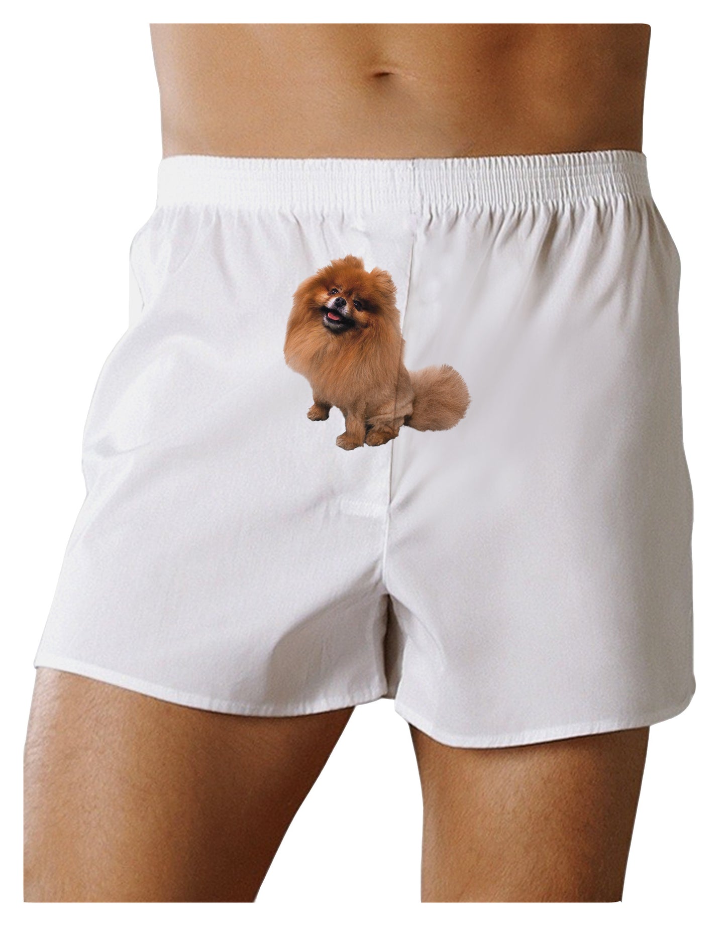 Pomeranian Sitting All Cute-Like Front Print Boxer Shorts-Boxer Shorts-TooLoud-White-Small-Davson Sales