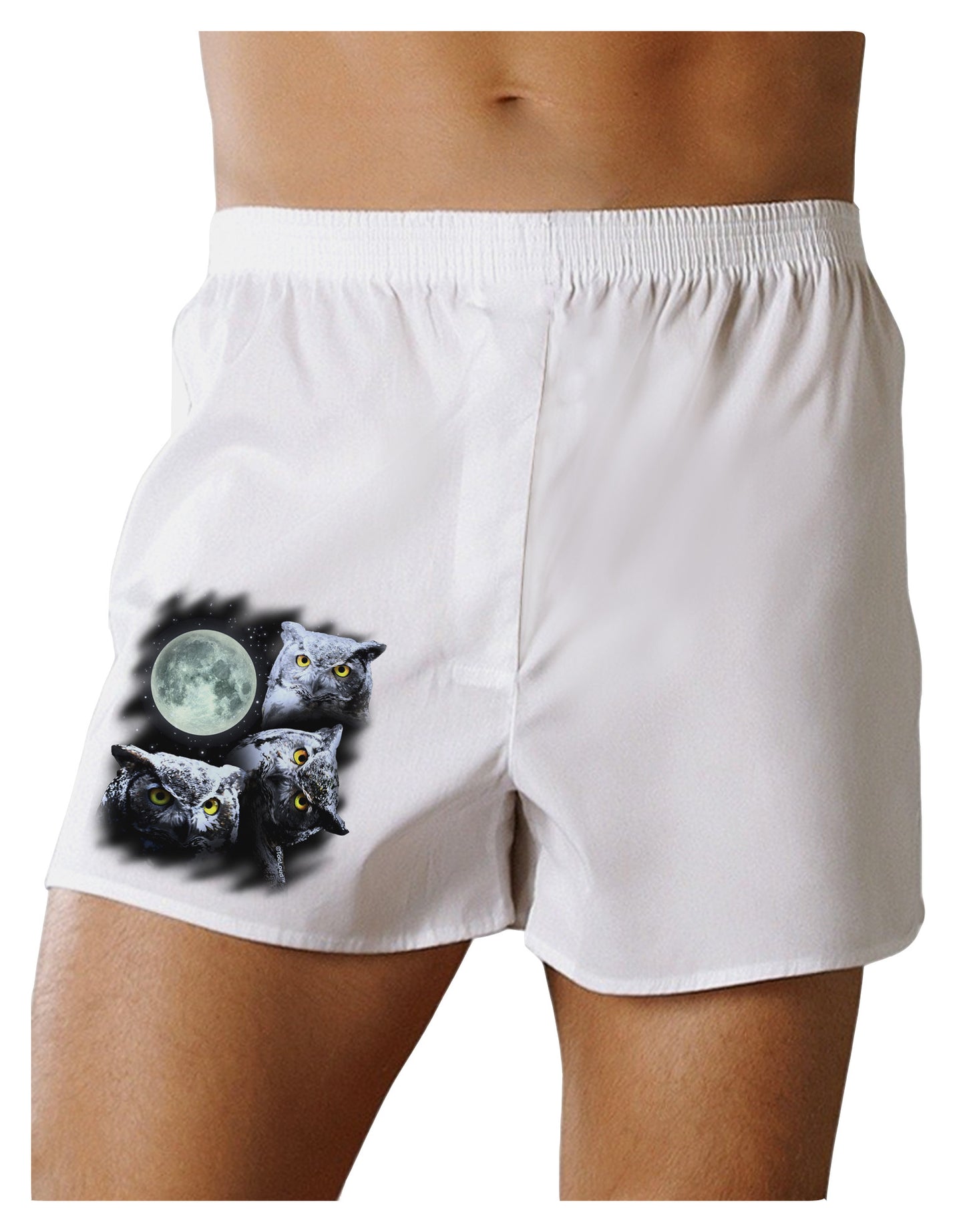 Three Owls and Moon Boxer Shorts-Boxer Shorts-TooLoud-White-Small-Davson Sales