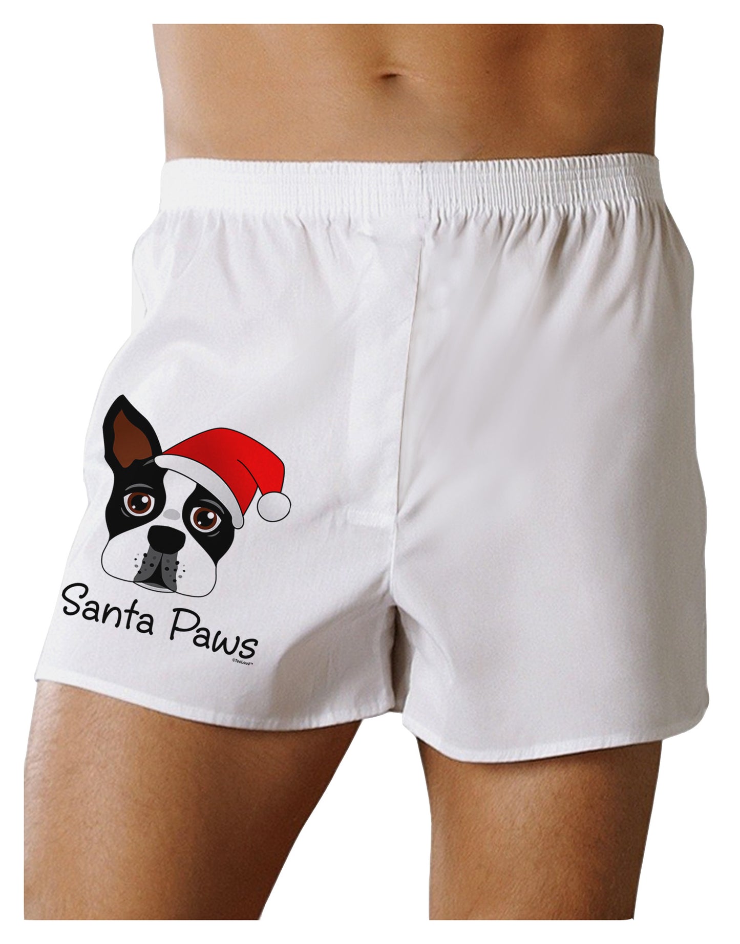 Santa Paws Christmas Dog Boxer Shorts-Boxer Shorts-TooLoud-White-Small-Davson Sales