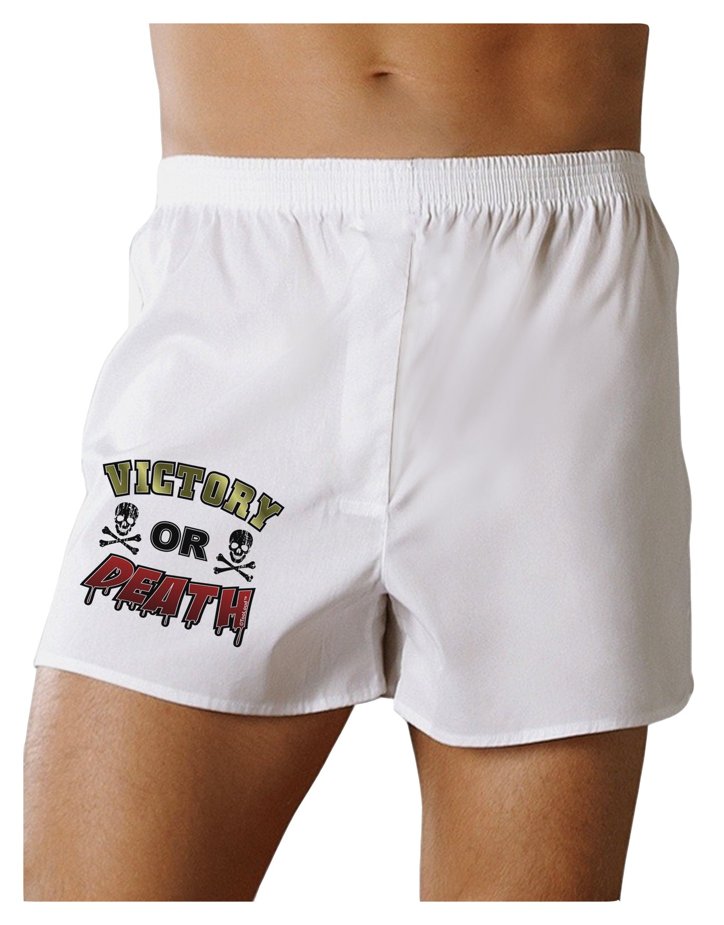 Victory Or Death Boxer Shorts-Boxer Shorts-TooLoud-White-Small-Davson Sales