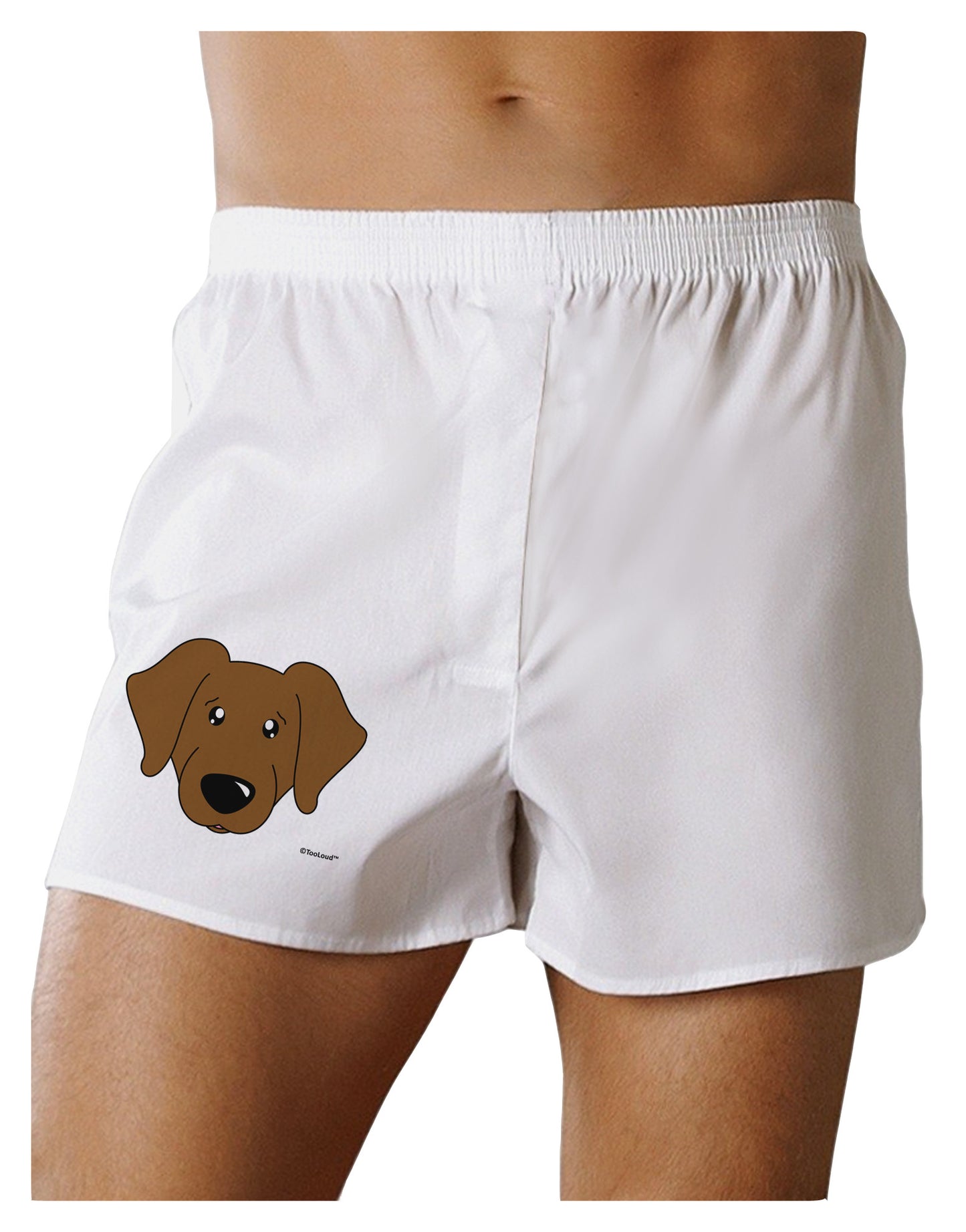 Cute Chocolate Labrador Retriever Dog Boxer Shorts by TooLoud-Boxer Shorts-TooLoud-White-Small-Davson Sales
