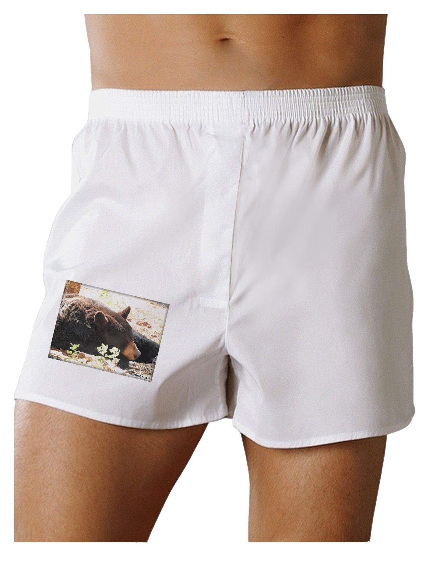 Laying Black Bear Boxer Shorts-Boxer Shorts-TooLoud-White-Small-Davson Sales