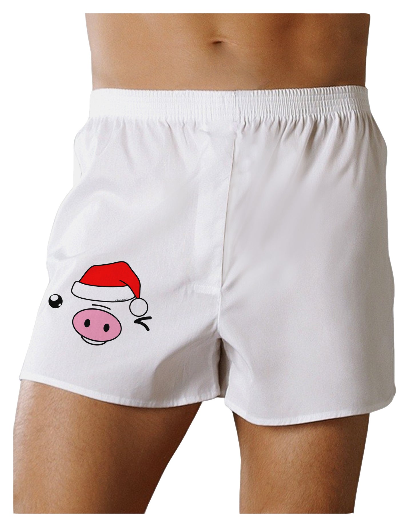 Kyu-T Face Oinkz Santa Hat Boy Pig Boxer Shorts-Boxer Shorts-TooLoud-White-Small-Davson Sales