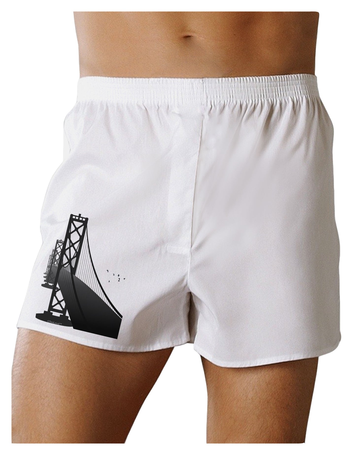 San Francisco Bay Bridge Boxer Shorts-Boxer Shorts-TooLoud-White-Small-Davson Sales