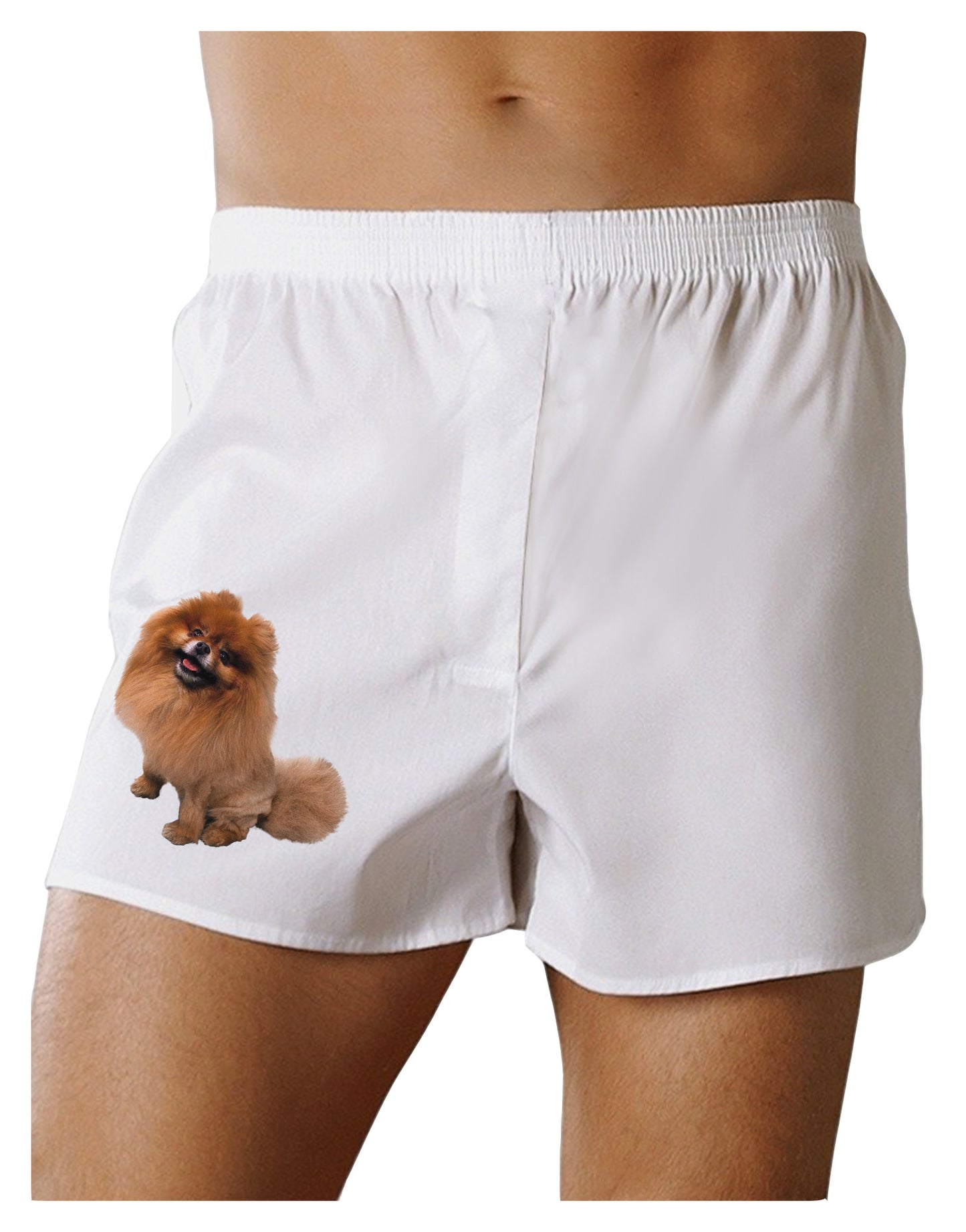 Pomeranian Sitting All Cute-Like Boxer Shorts-Boxer Shorts-TooLoud-White-Small-Davson Sales