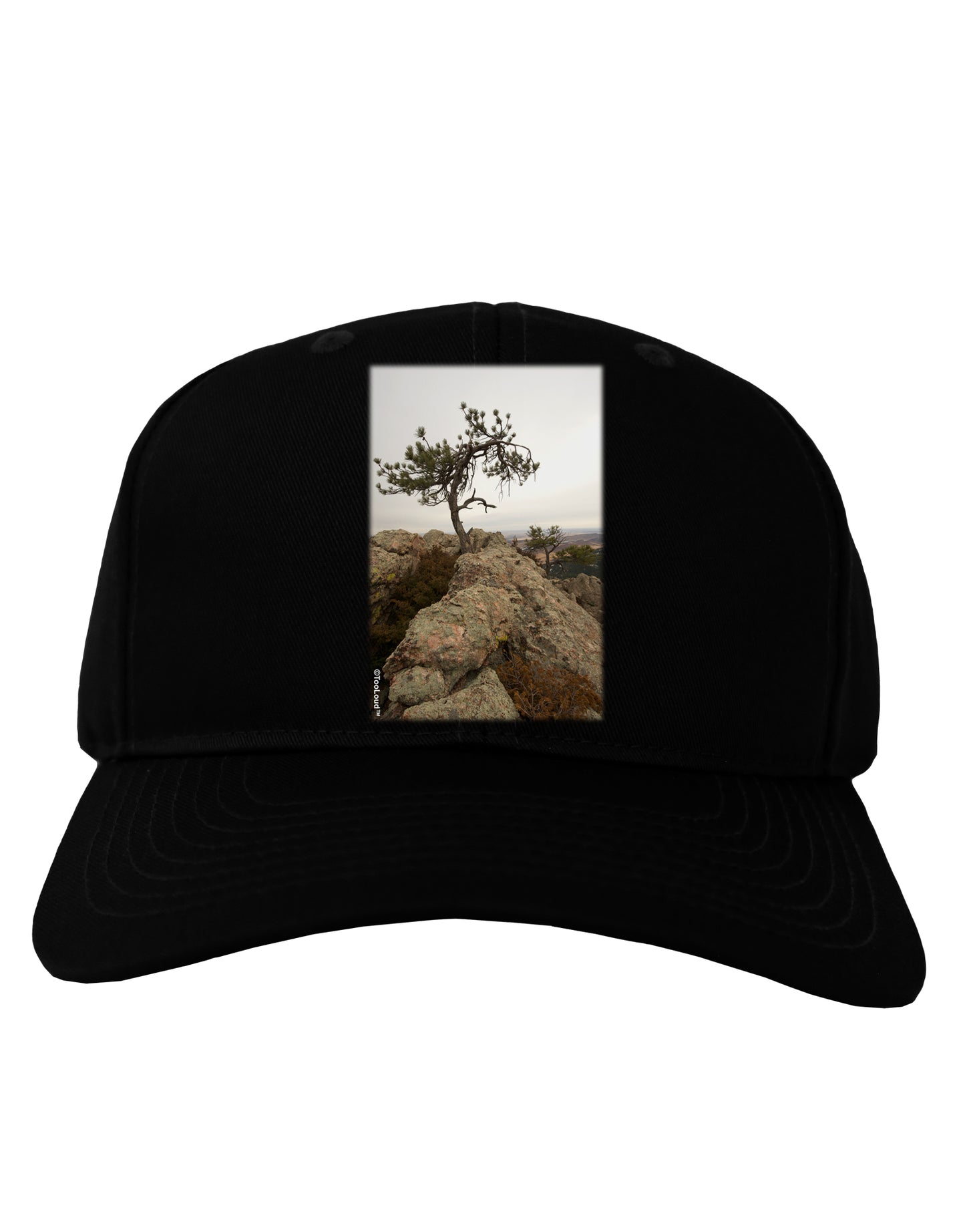 Stone Tree Colorado Adult Dark Baseball Cap Hat by TooLoud-Baseball Cap-TooLoud-Black-One Size-Davson Sales