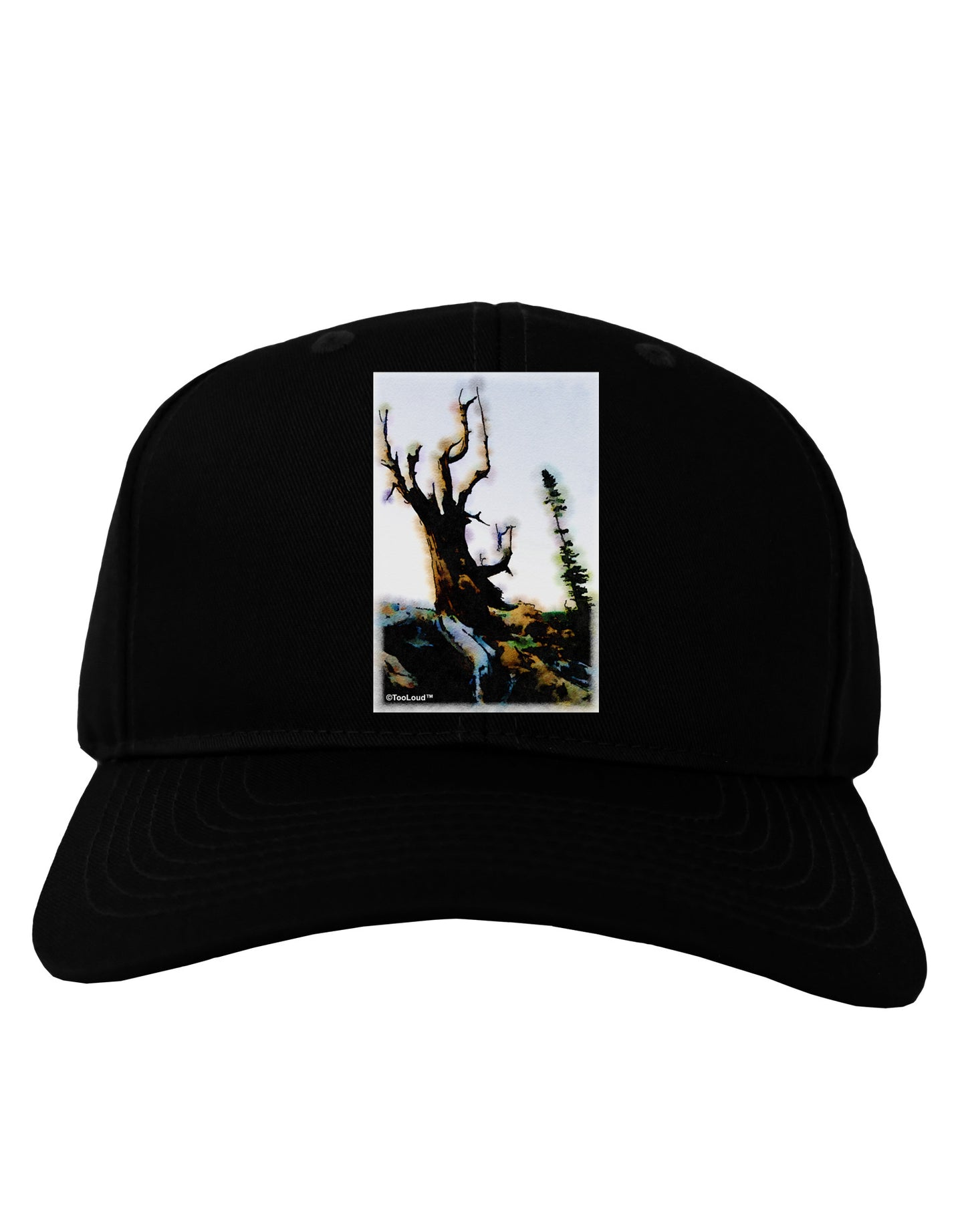 CO Mountain Scenery Watercolor Adult Dark Baseball Cap Hat-Baseball Cap-TooLoud-Black-One Size-Davson Sales