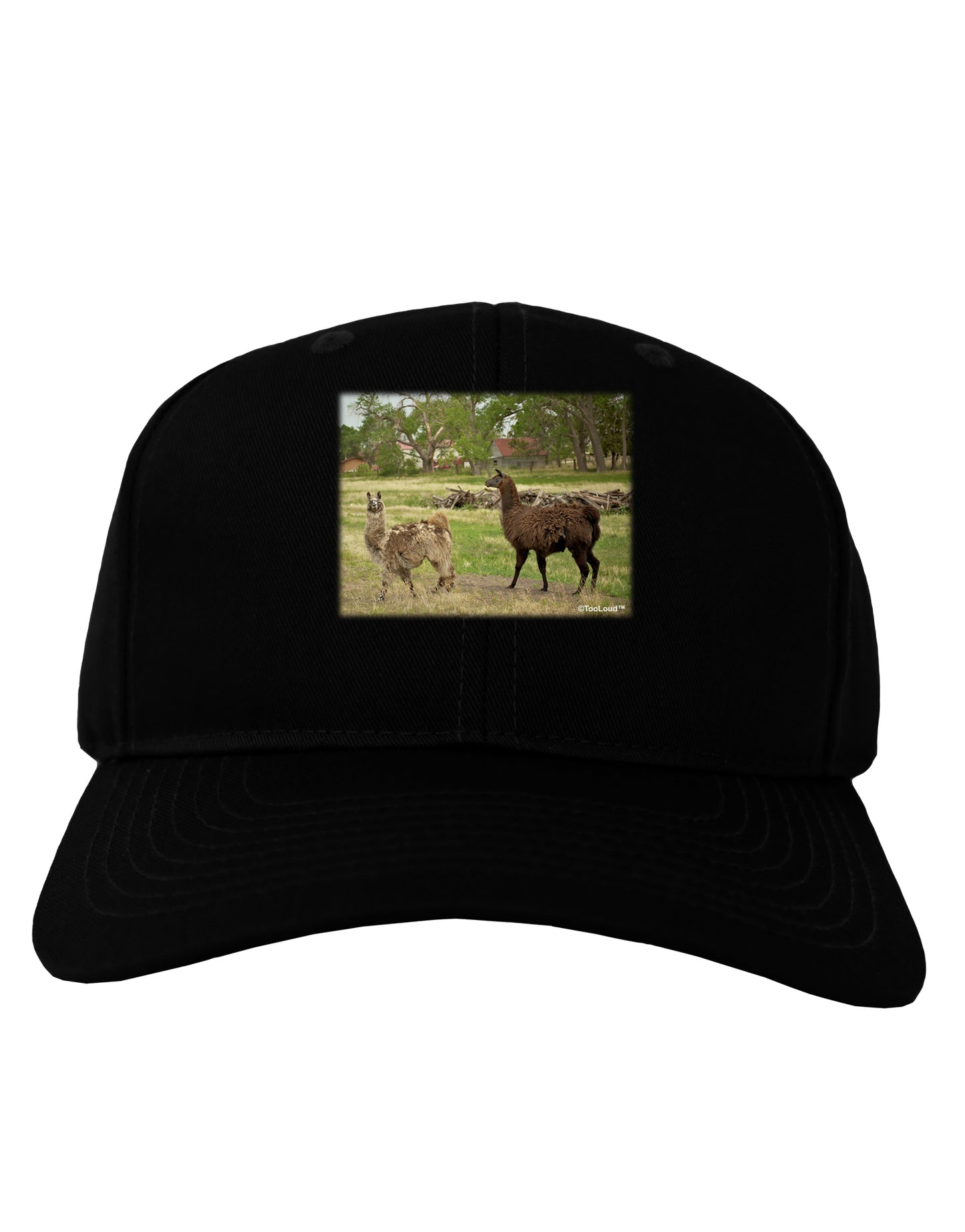 Standing Llamas Adult Dark Baseball Cap Hat by TooLoud-Baseball Cap-TooLoud-Black-One Size-Davson Sales