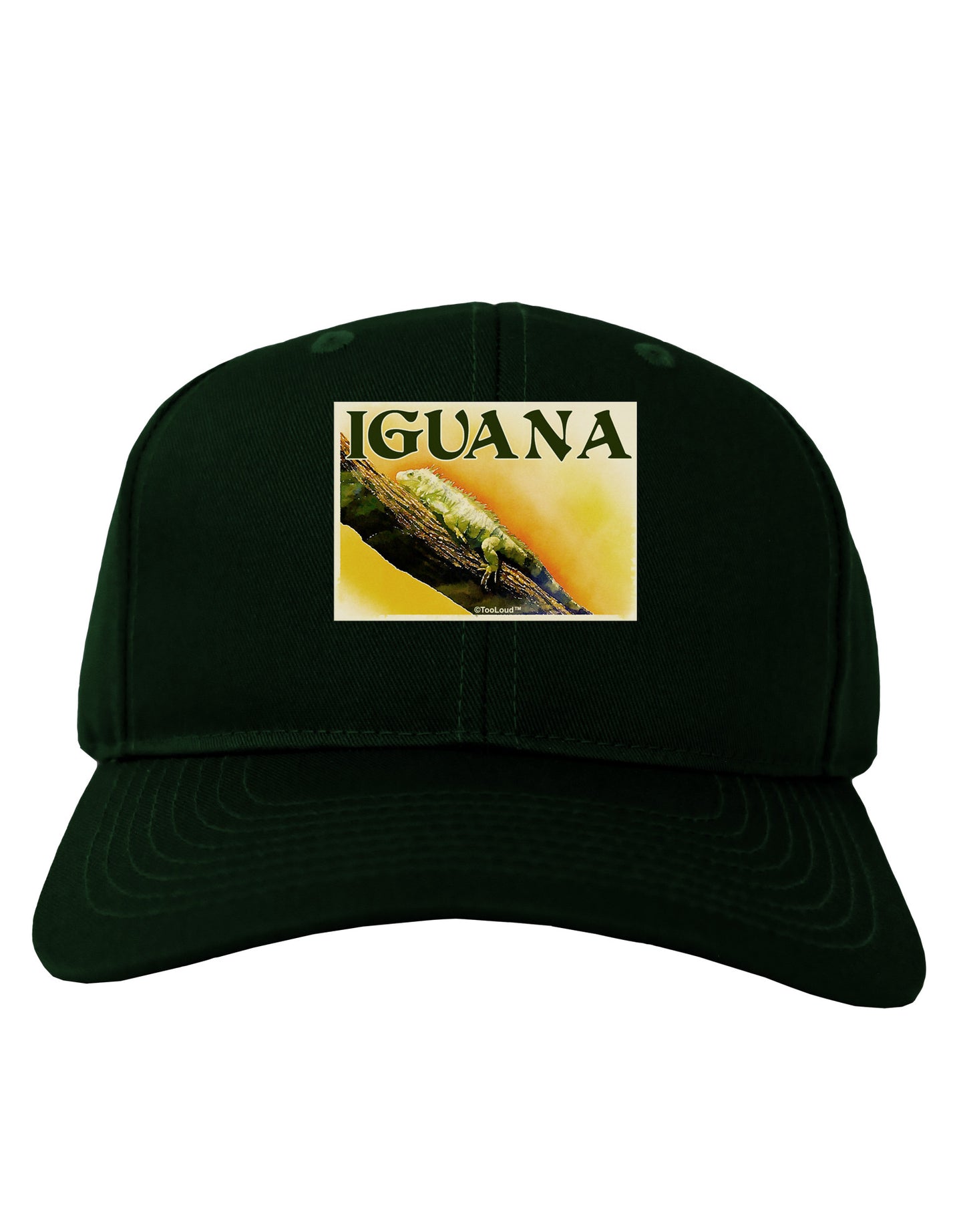 Iguana Watercolor Text Adult Dark Baseball Cap Hat-Baseball Cap-TooLoud-Hunter-Green-One Size-Davson Sales