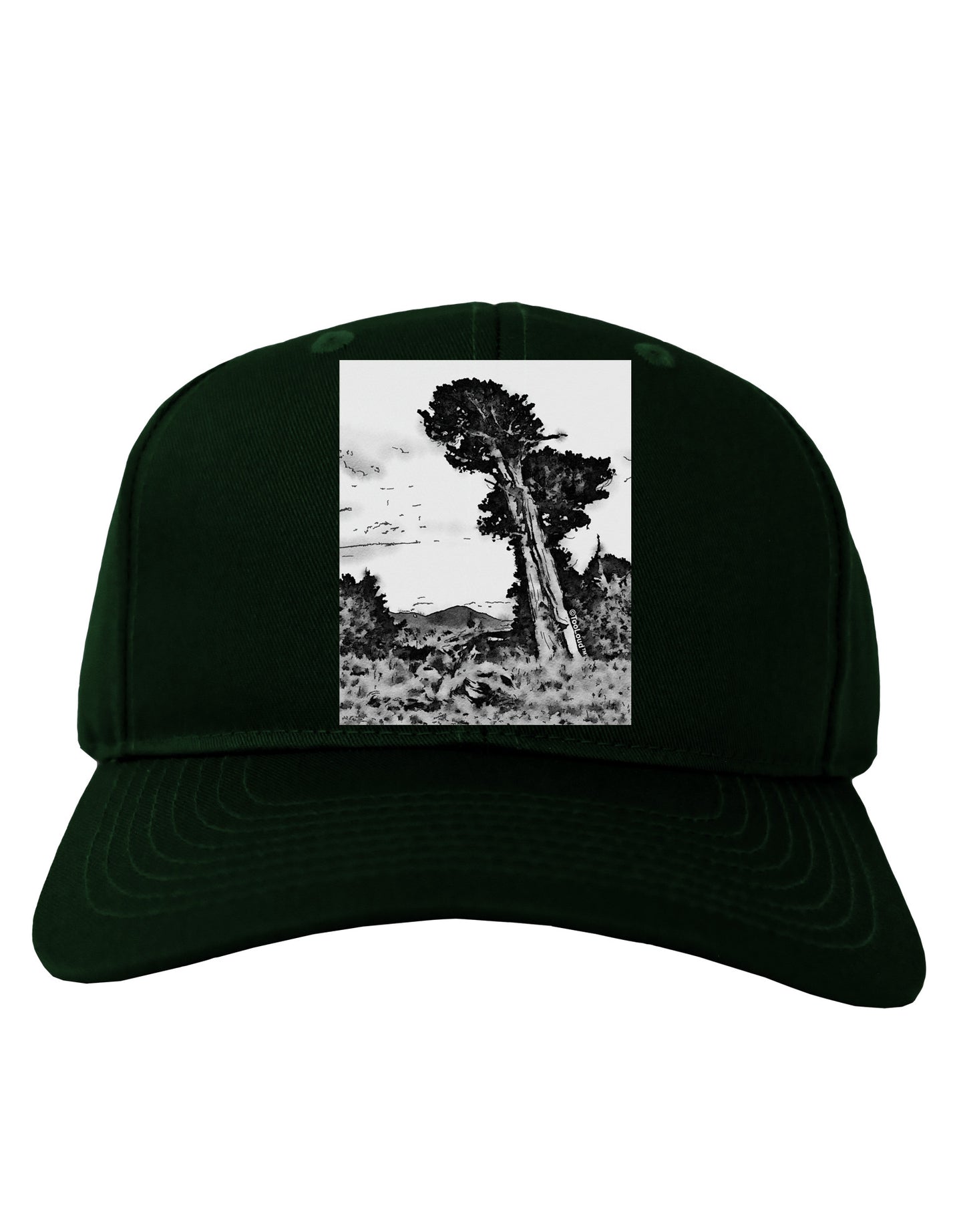 Colorado Landscape Watercolor BW Adult Dark Baseball Cap Hat-Baseball Cap-TooLoud-Hunter-Green-One Size-Davson Sales