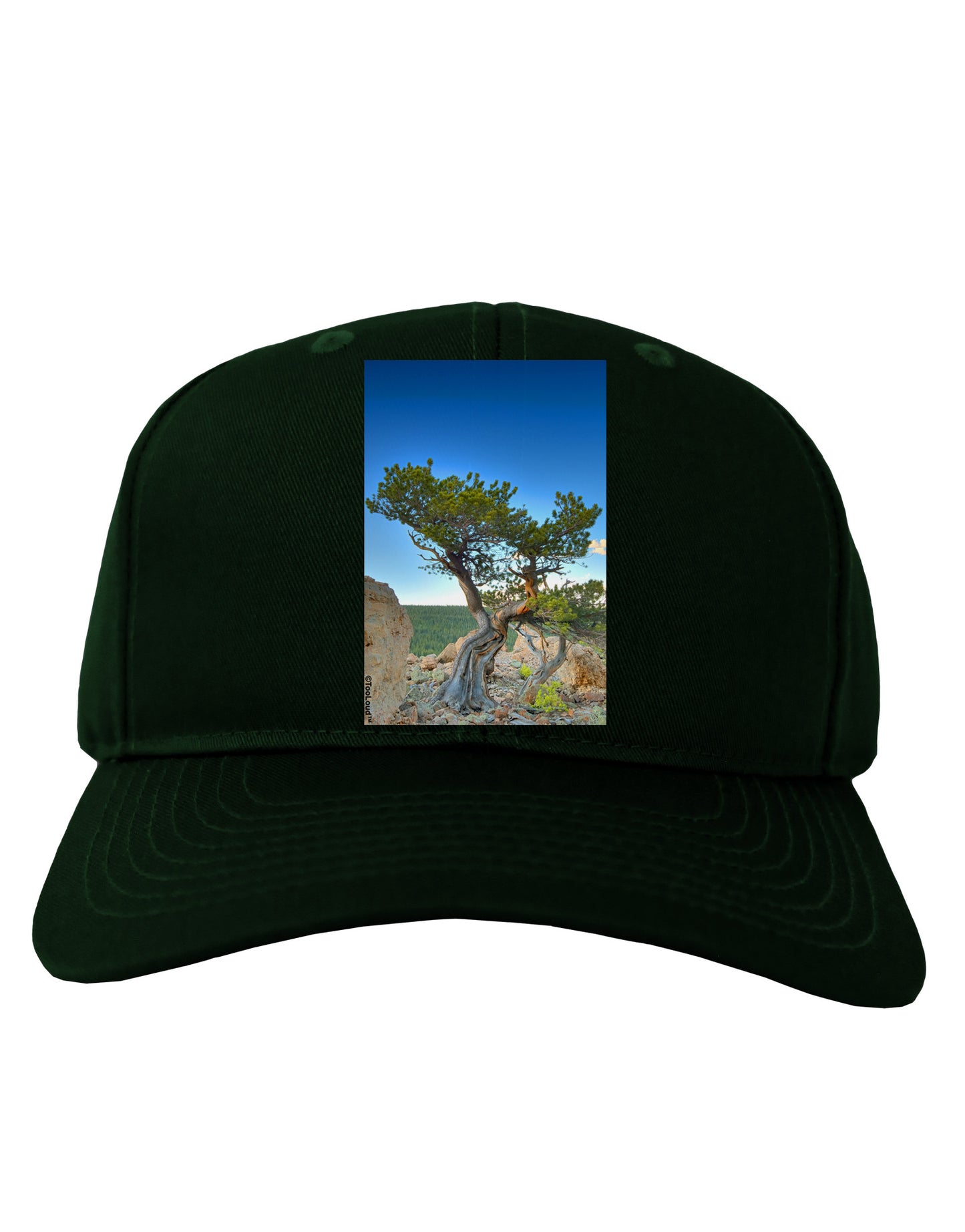 Colorado Landscape Tree Adult Dark Baseball Cap Hat-Baseball Cap-TooLoud-Hunter-Green-One Size-Davson Sales