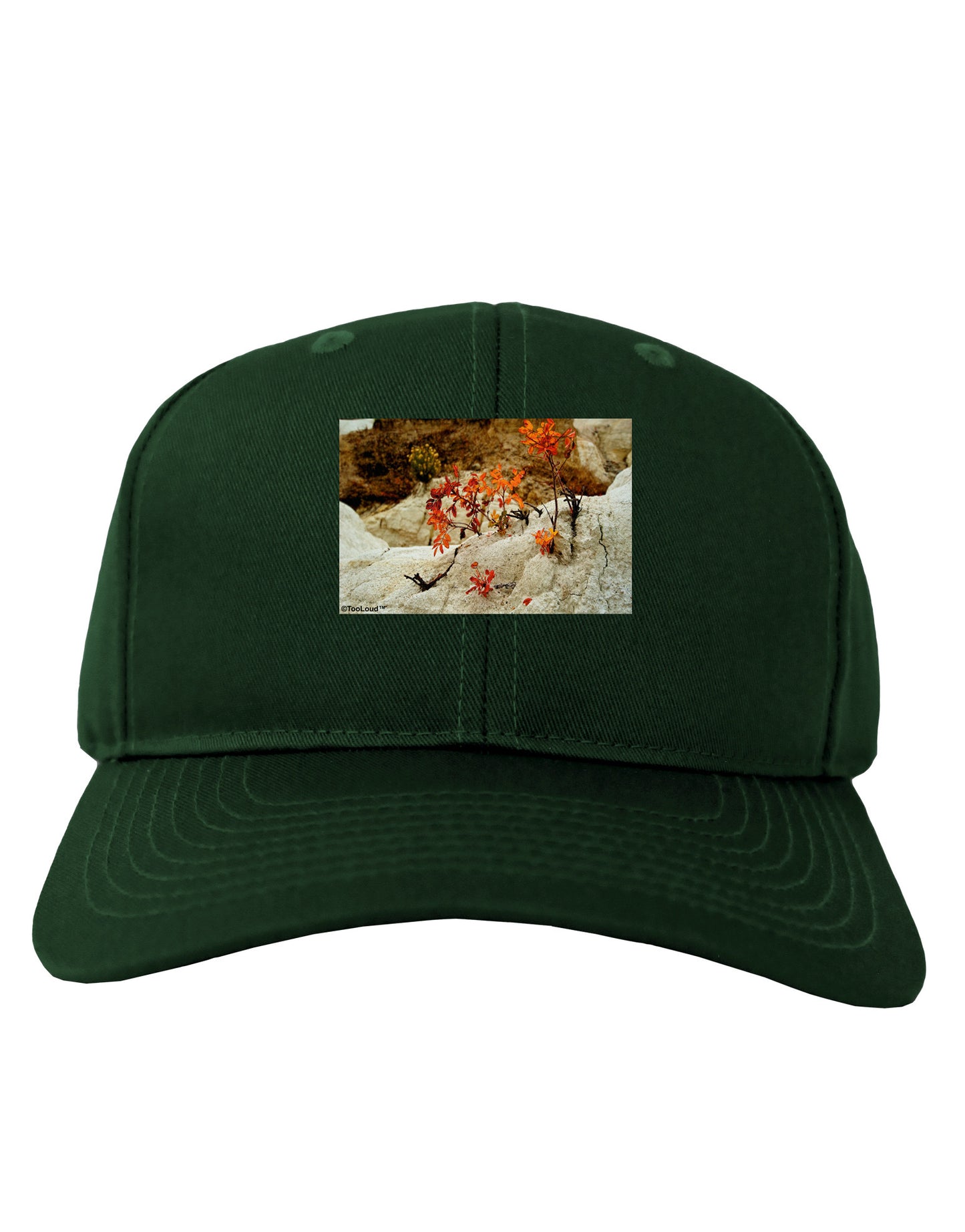 CO Painted Mines Adult Dark Baseball Cap Hat-Baseball Cap-TooLoud-Hunter-Green-One Size-Davson Sales