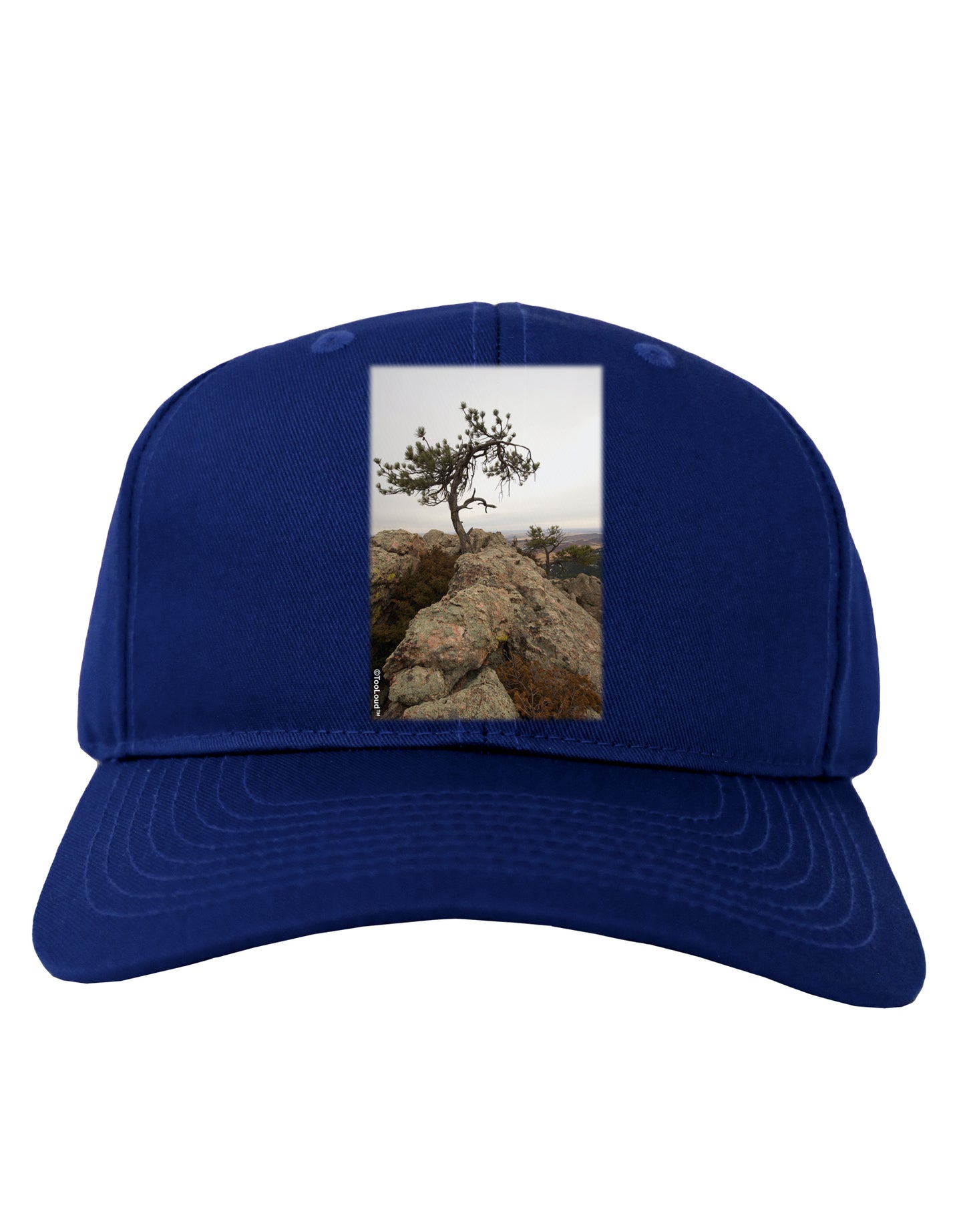 Stone Tree Colorado Adult Dark Baseball Cap Hat by TooLoud-Baseball Cap-TooLoud-Royal-Blue-One Size-Davson Sales