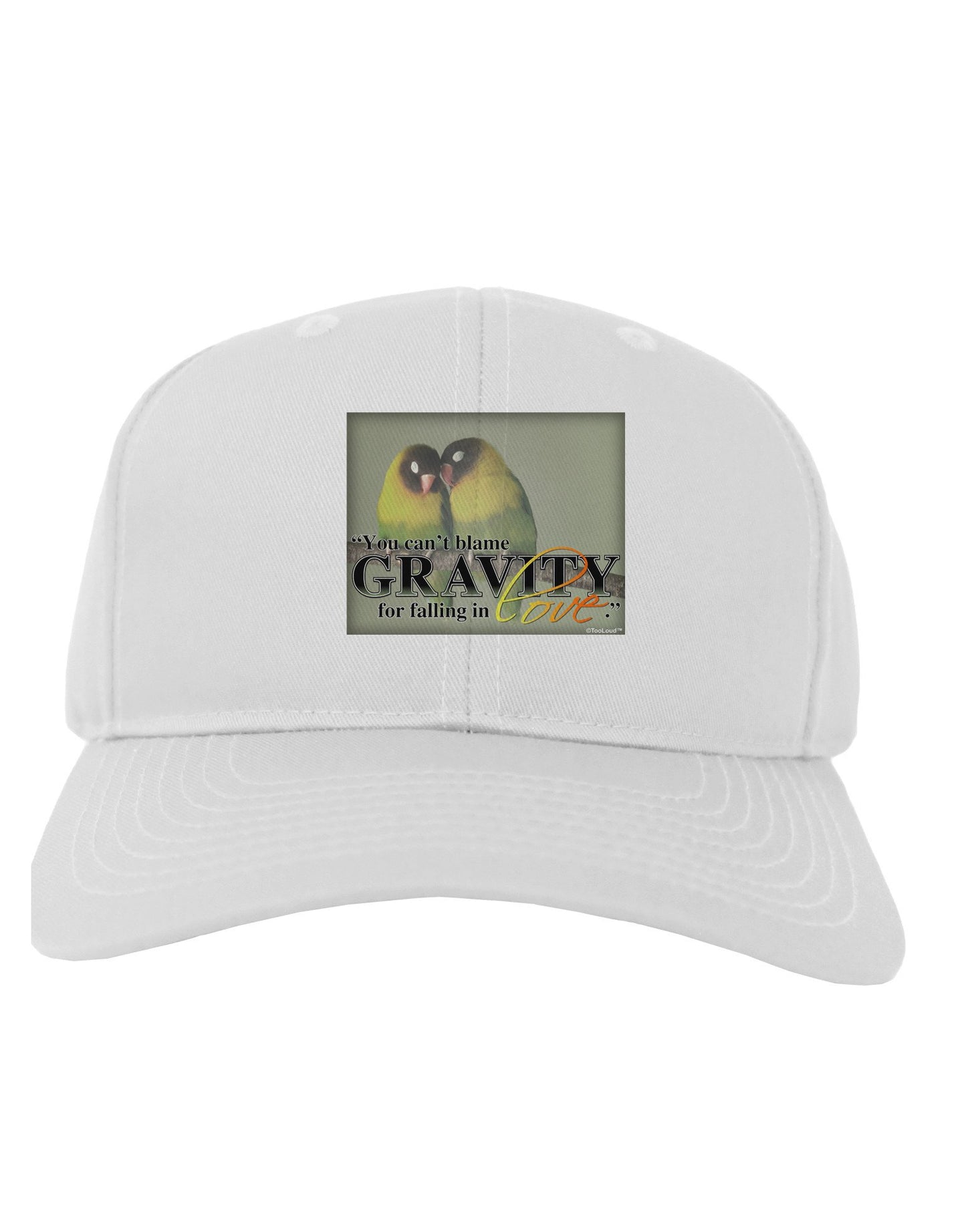Can't Blame Gravity Adult Baseball Cap Hat-Baseball Cap-TooLoud-White-One Size-Davson Sales