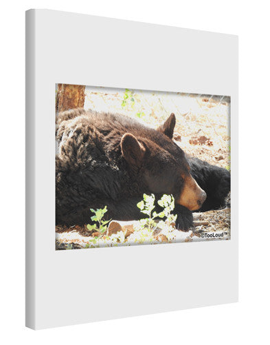 Laying Black Bear Printed Canvas Art Portrait - Choose Size-TooLoud-11x14"-Davson Sales